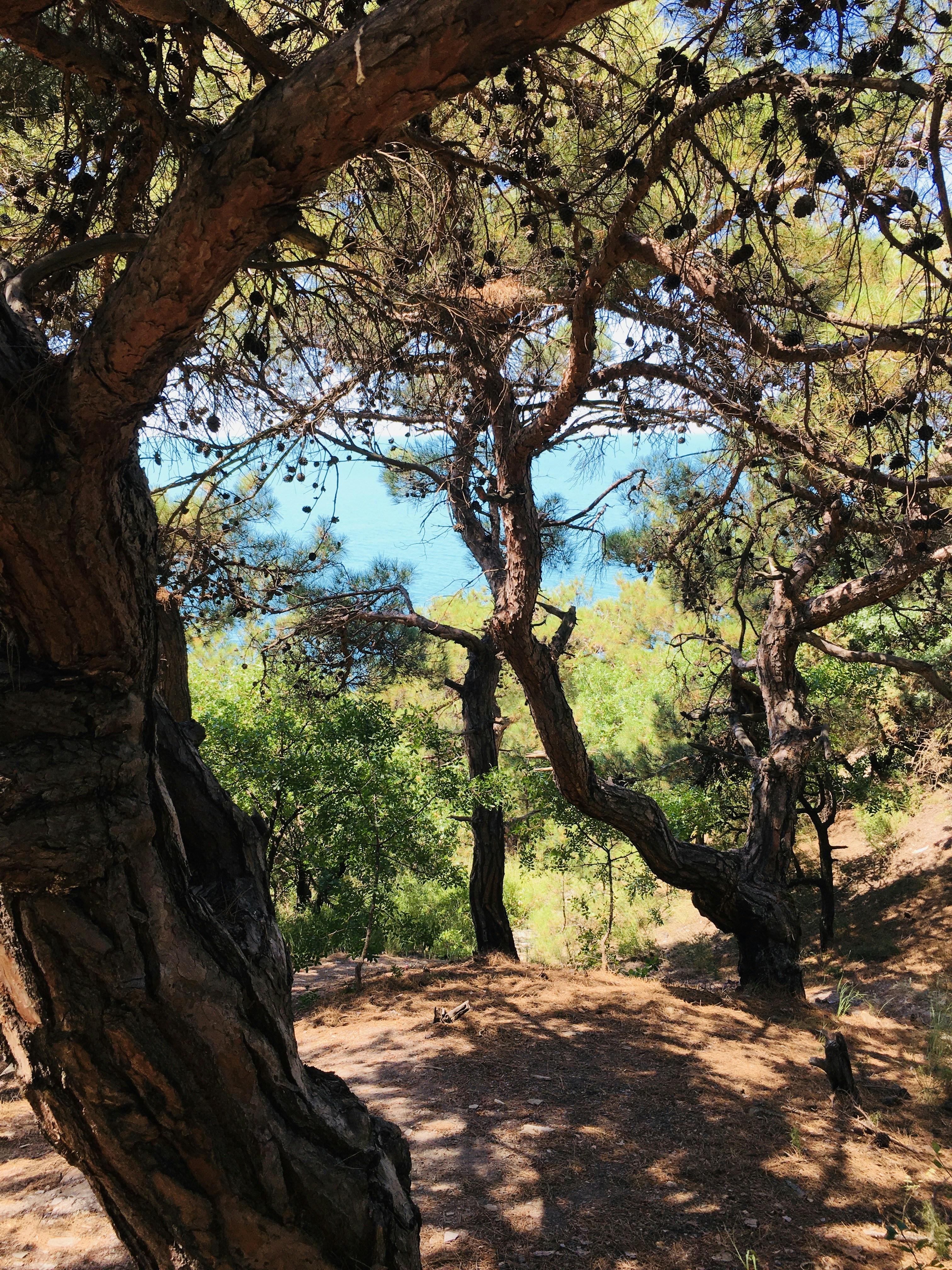 Photo by mari_sabatini