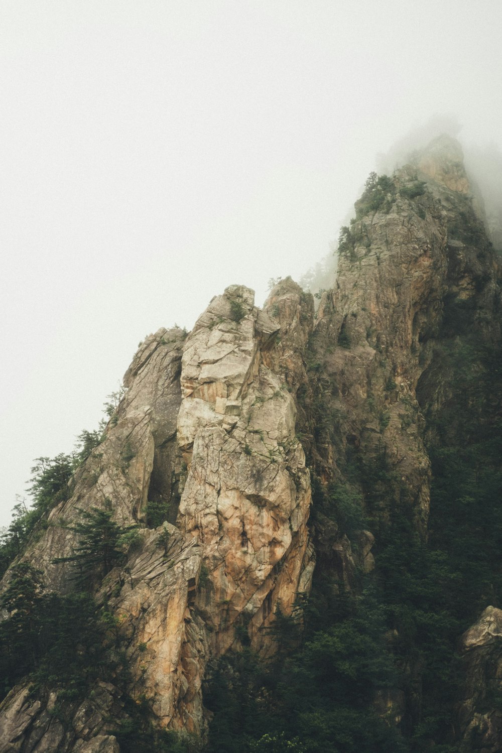 a rocky cliff with trees