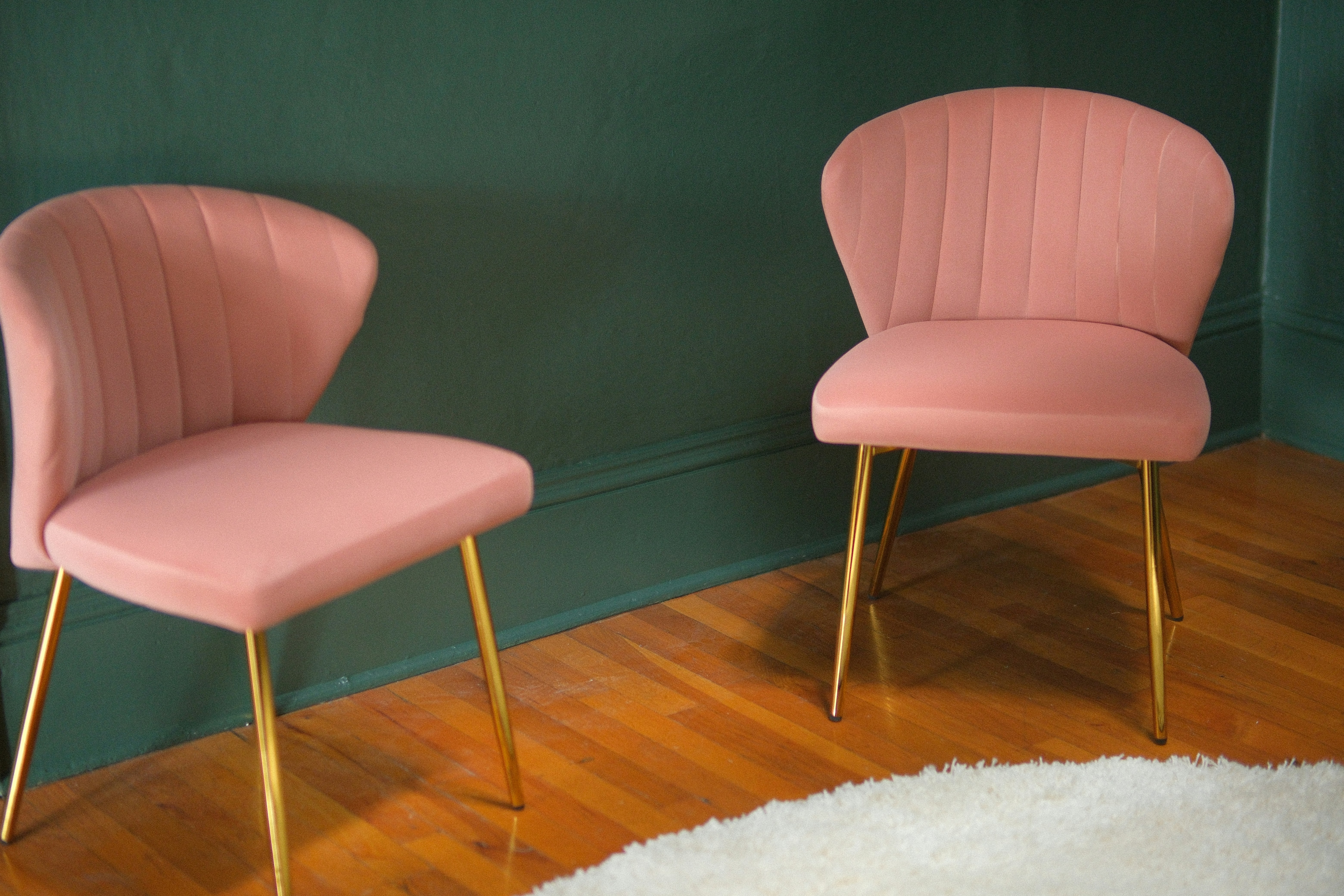 Photo by taylorheeryphoto