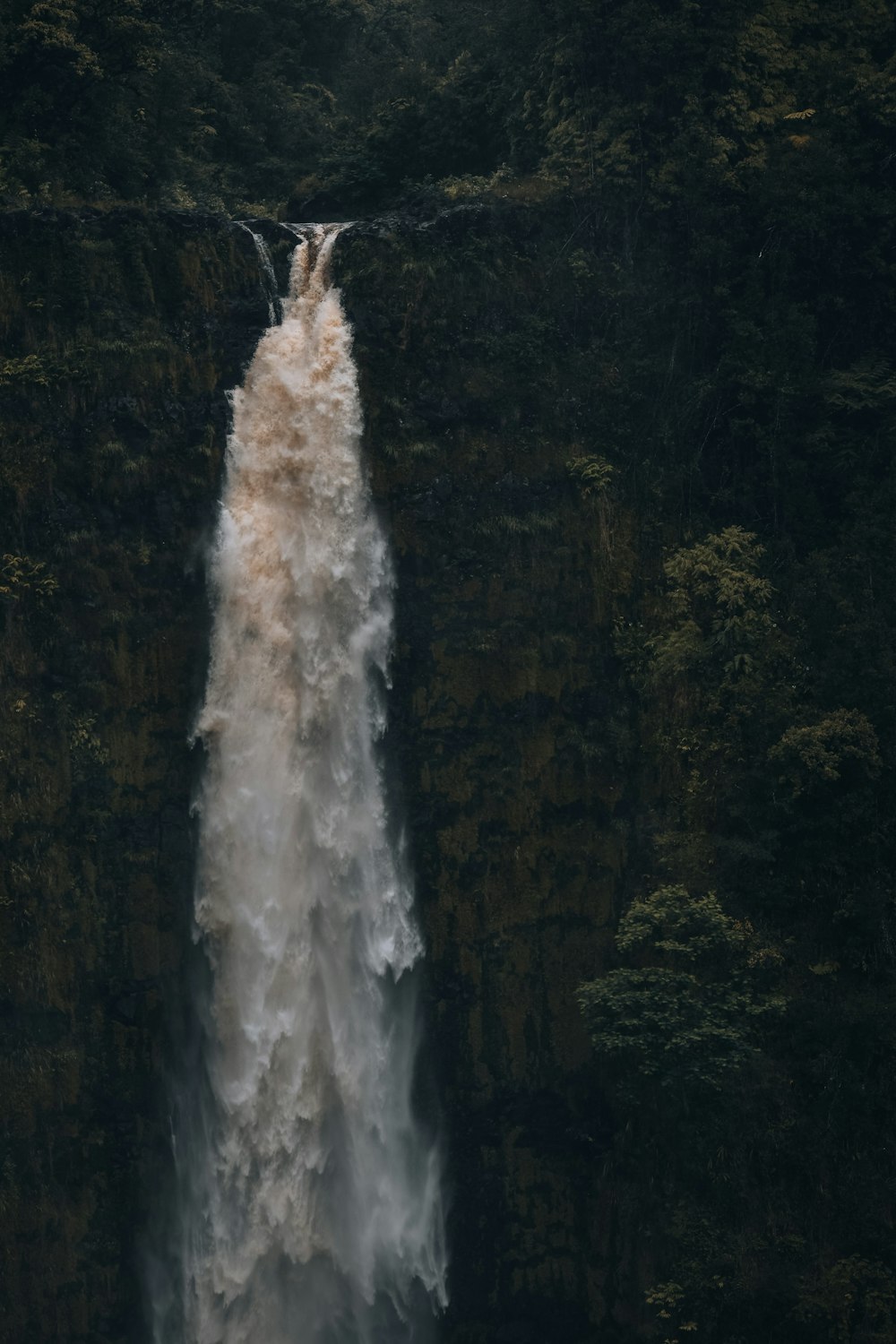 a large waterfall in a forest