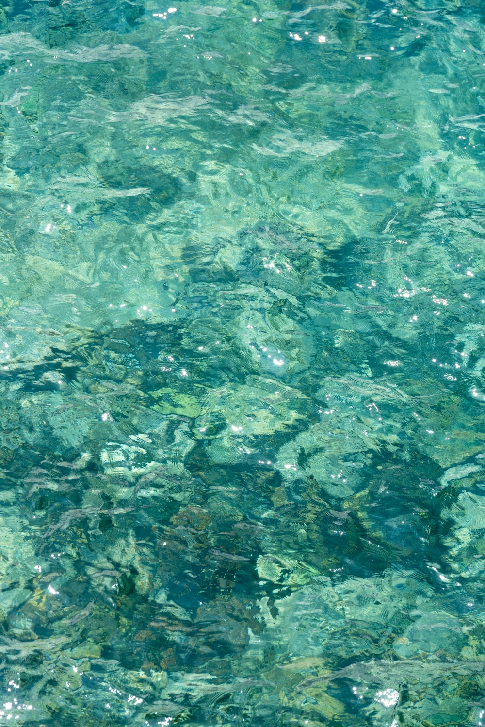 clear water with small rocks