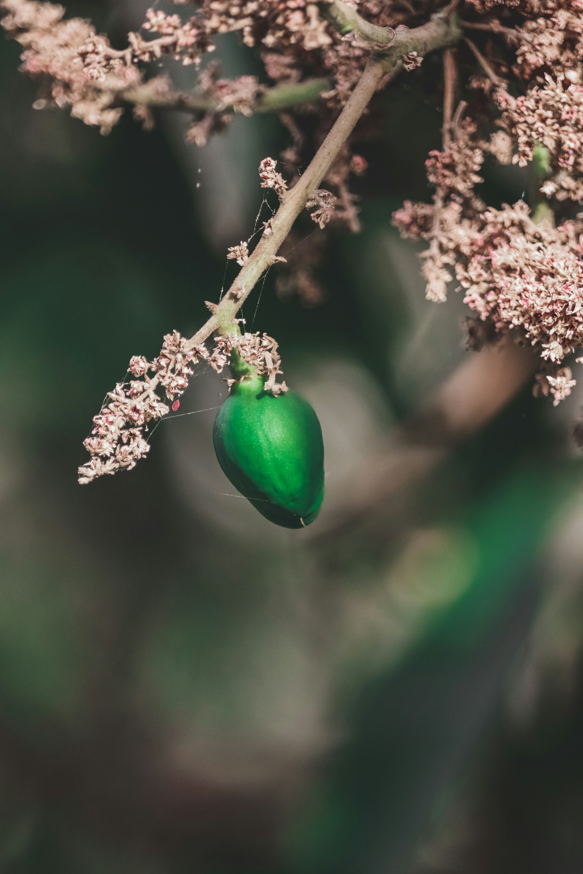 a green bug on a branch