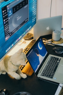 A domestic scene with a beige cat sitting on a desk next to a laptop showing a serene digital drawing of a person looking at a crescent moon in the night sky. There are two monitors displaying various digital applications. The setup is accompanied by a sleek grey speaker and another laptop partially visible.