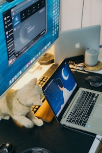 A domestic scene with a beige cat sitting on a desk next to a laptop showing a serene digital drawing of a person looking at a crescent moon in the night sky. There are two monitors displaying various digital applications. The setup is accompanied by a sleek grey speaker and another laptop partially visible.
