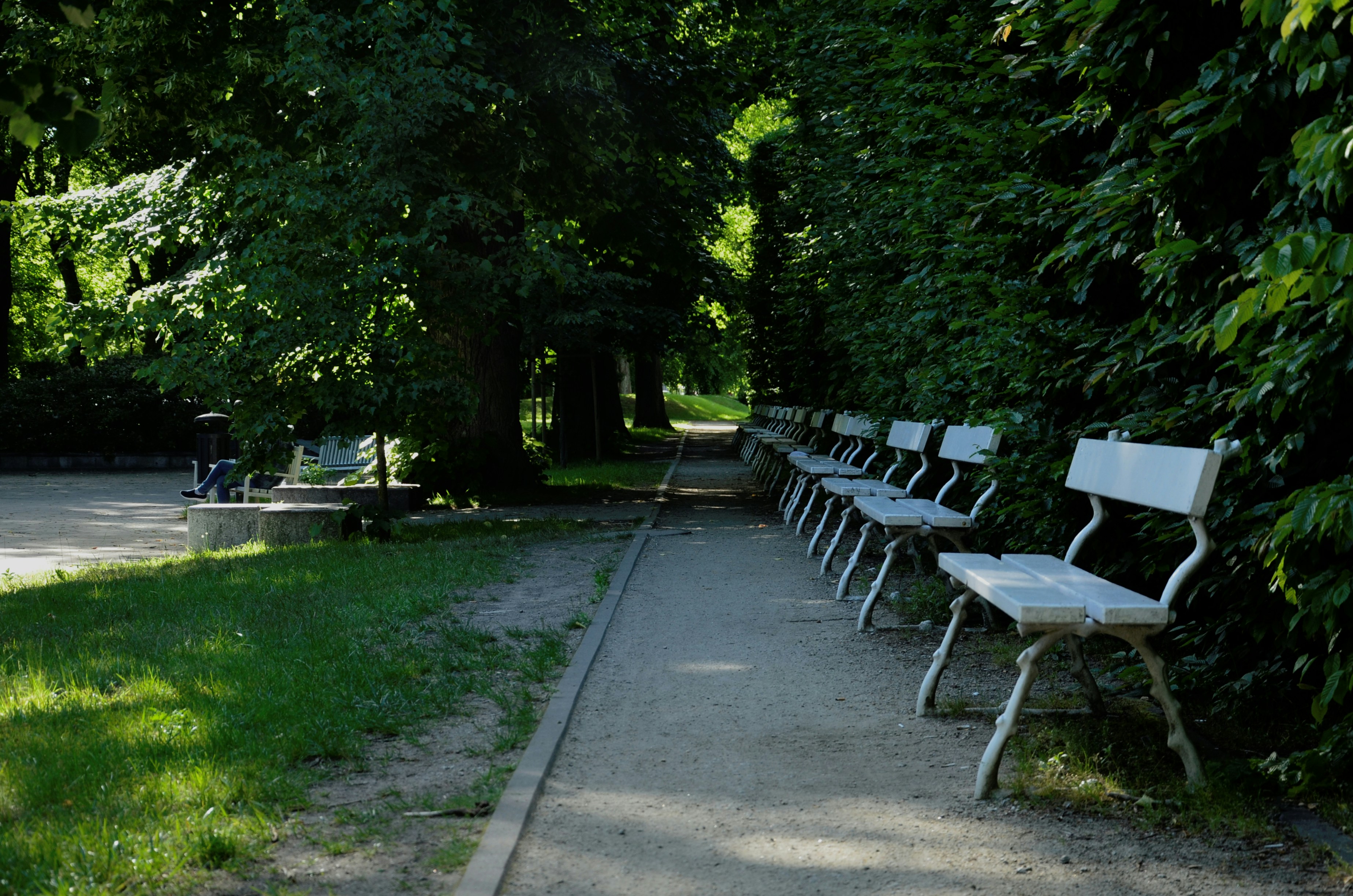 a row of benches in a park