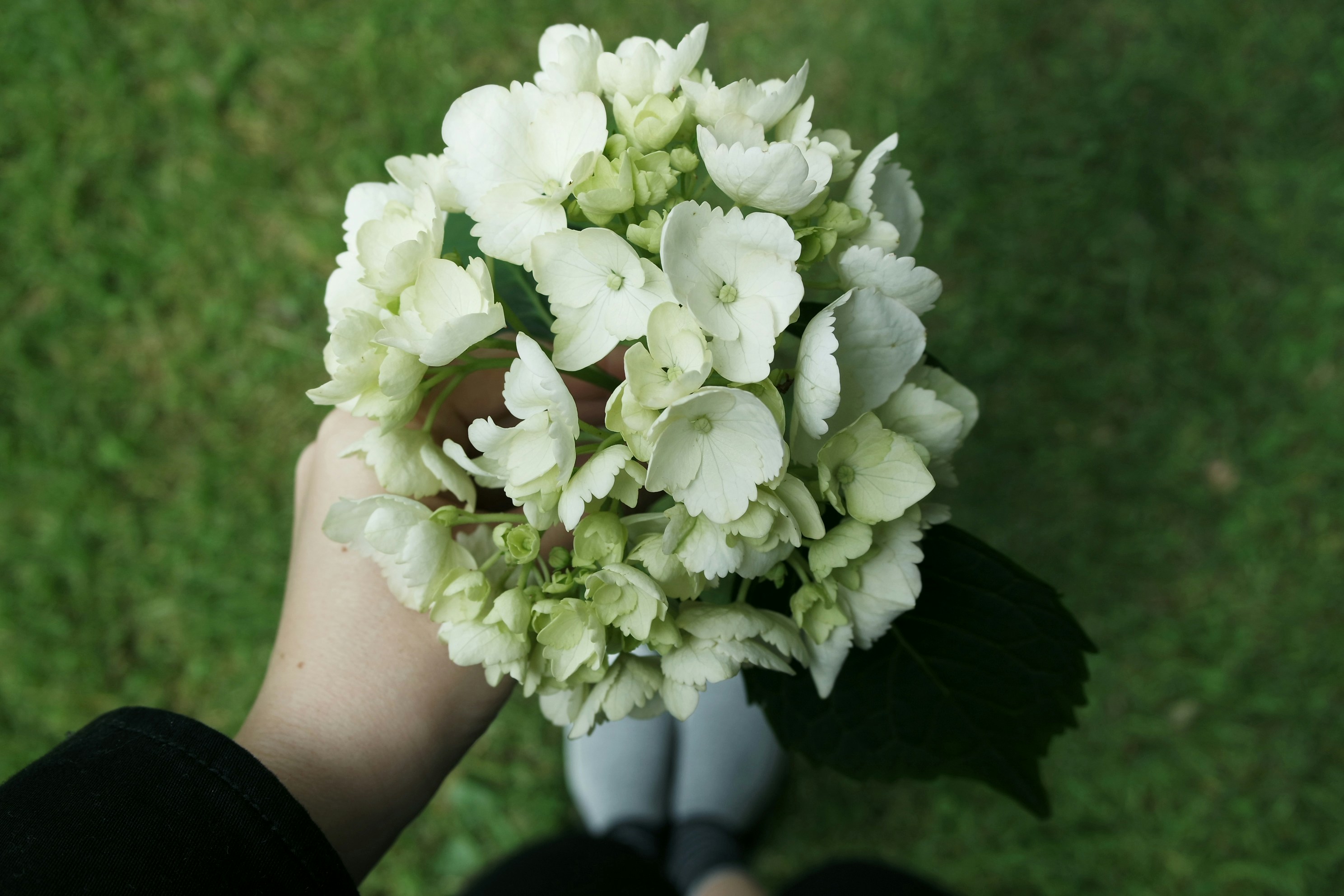 White Elegance Bouquet