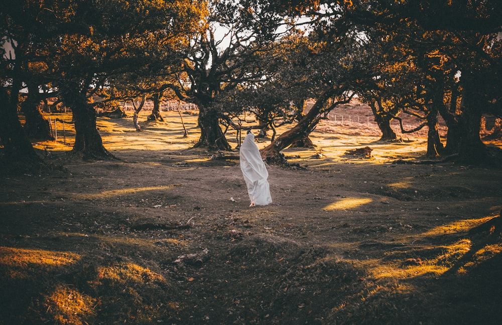 Una persona con un vestido blanco en un parque con árboles