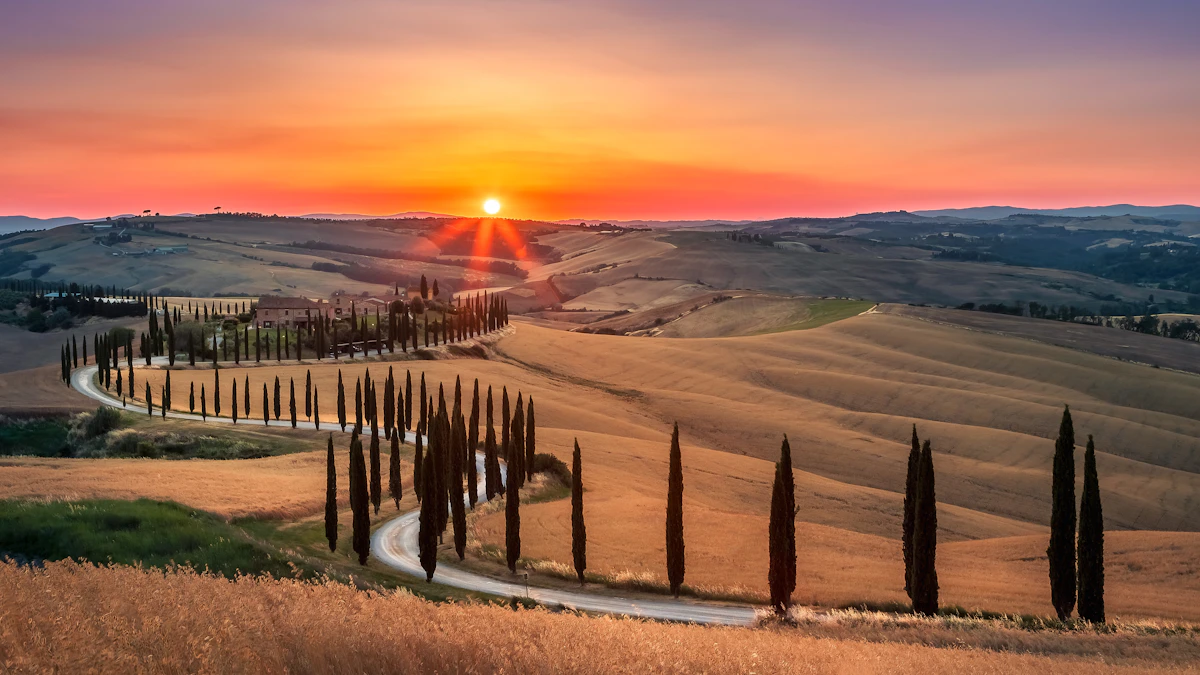 Iconic winding cypress-lined road through golden Tuscan hills at sunset