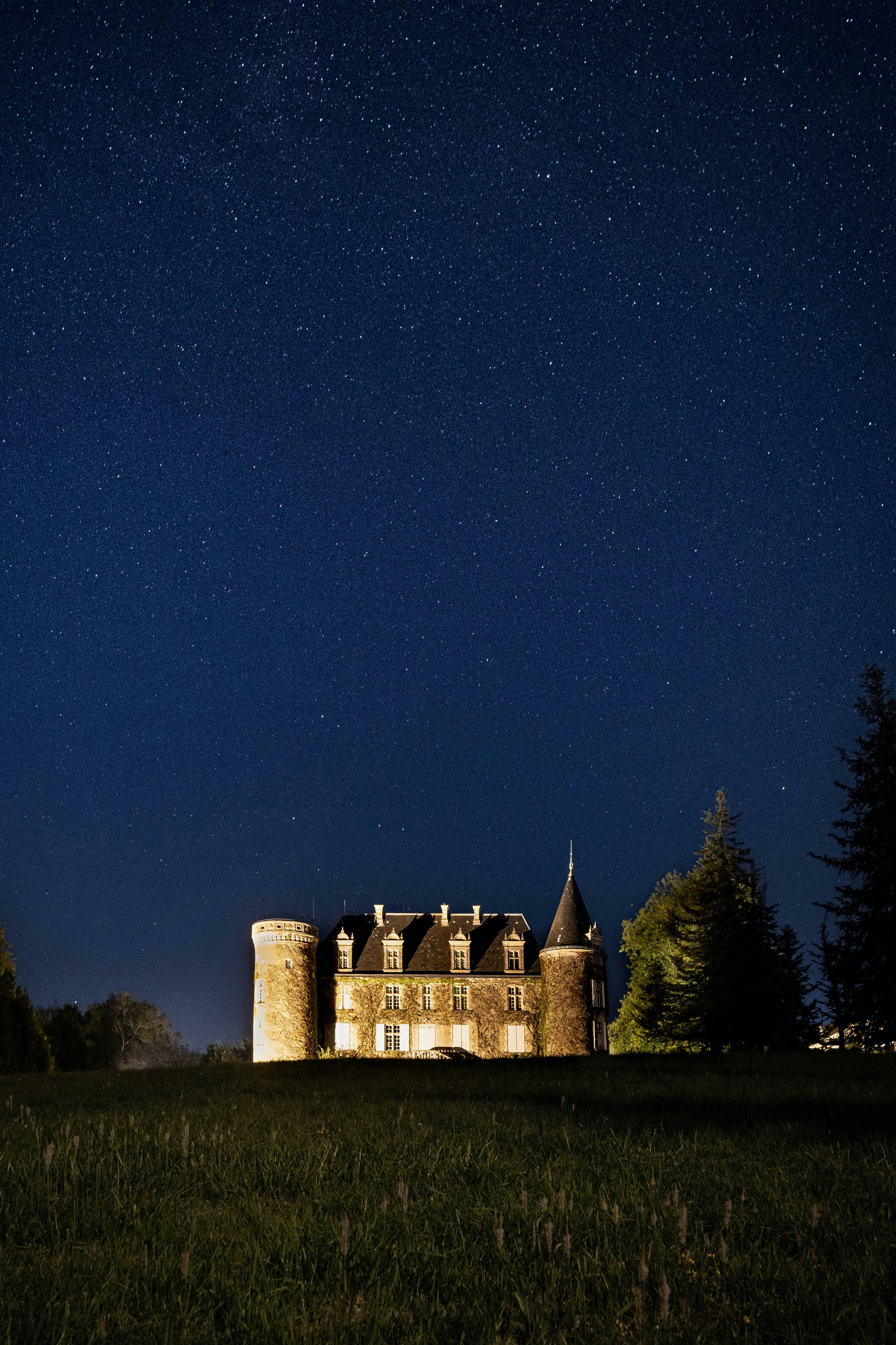 Une maison dans un champ avec des arbres et un ciel étoilé