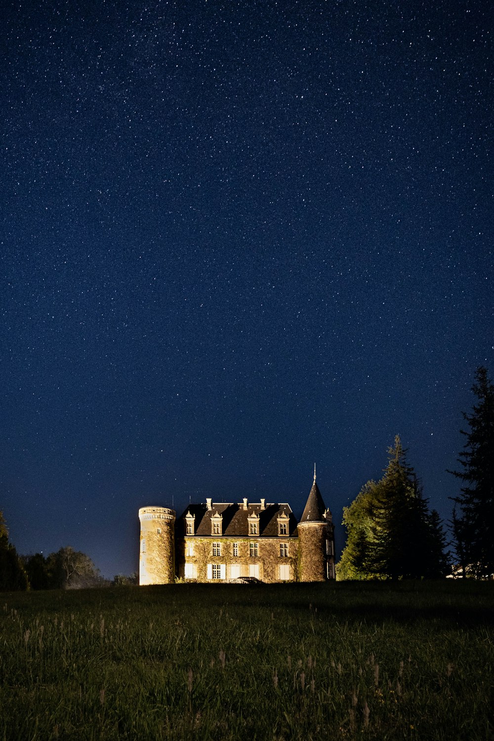 a house in a field with trees and a starry sky