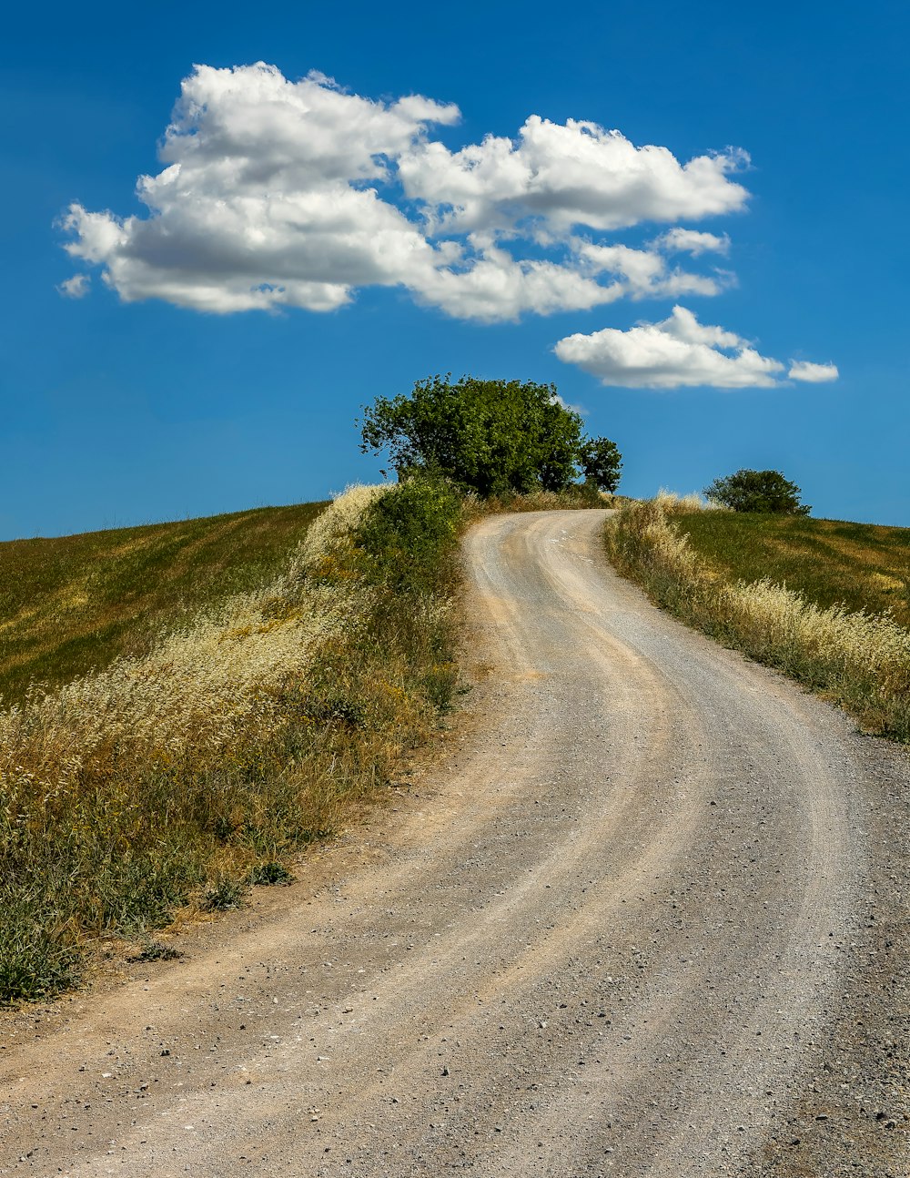 a dirt road with grass and trees on either side of it