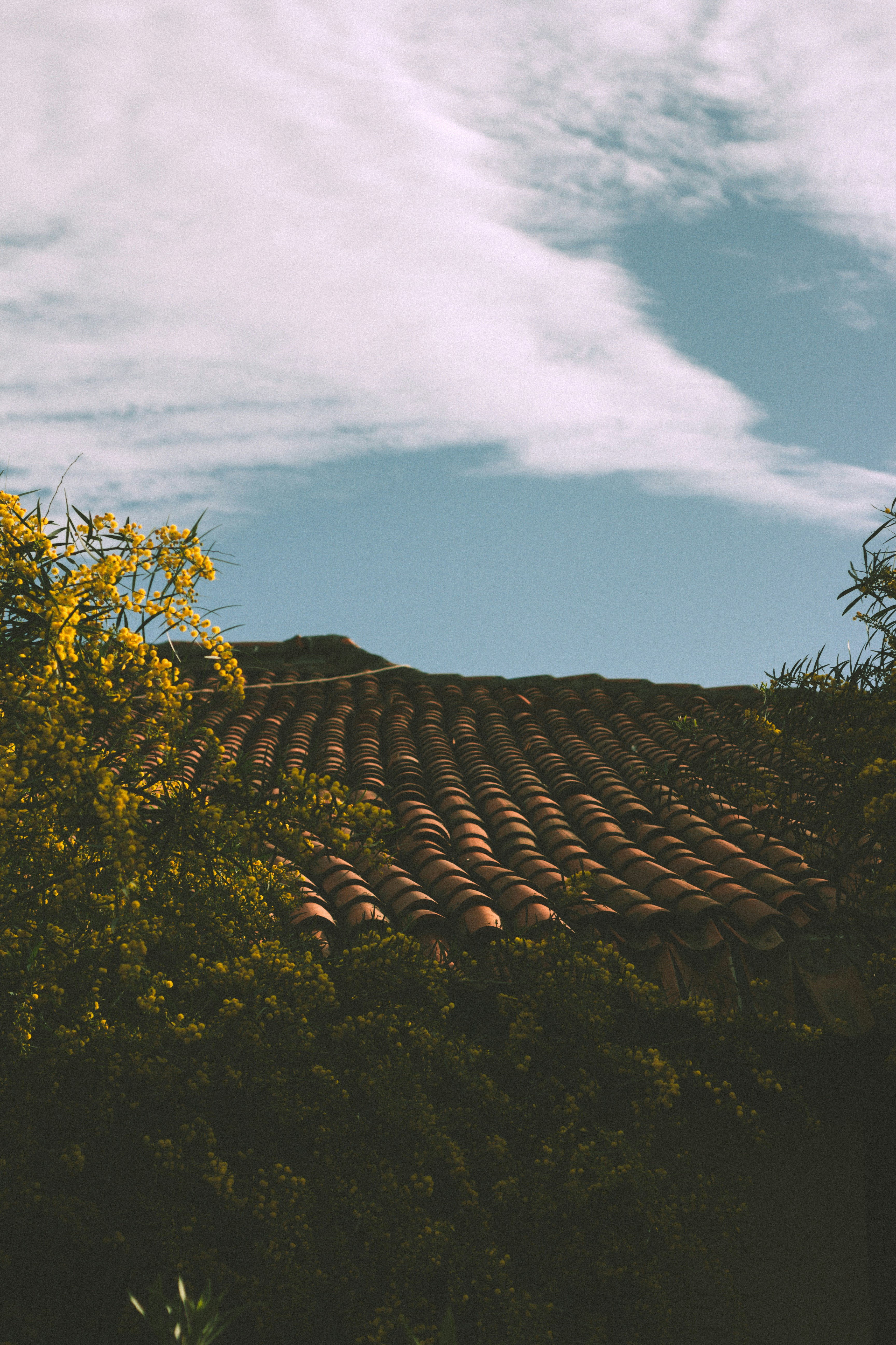 Photo by keremgunaydinlar