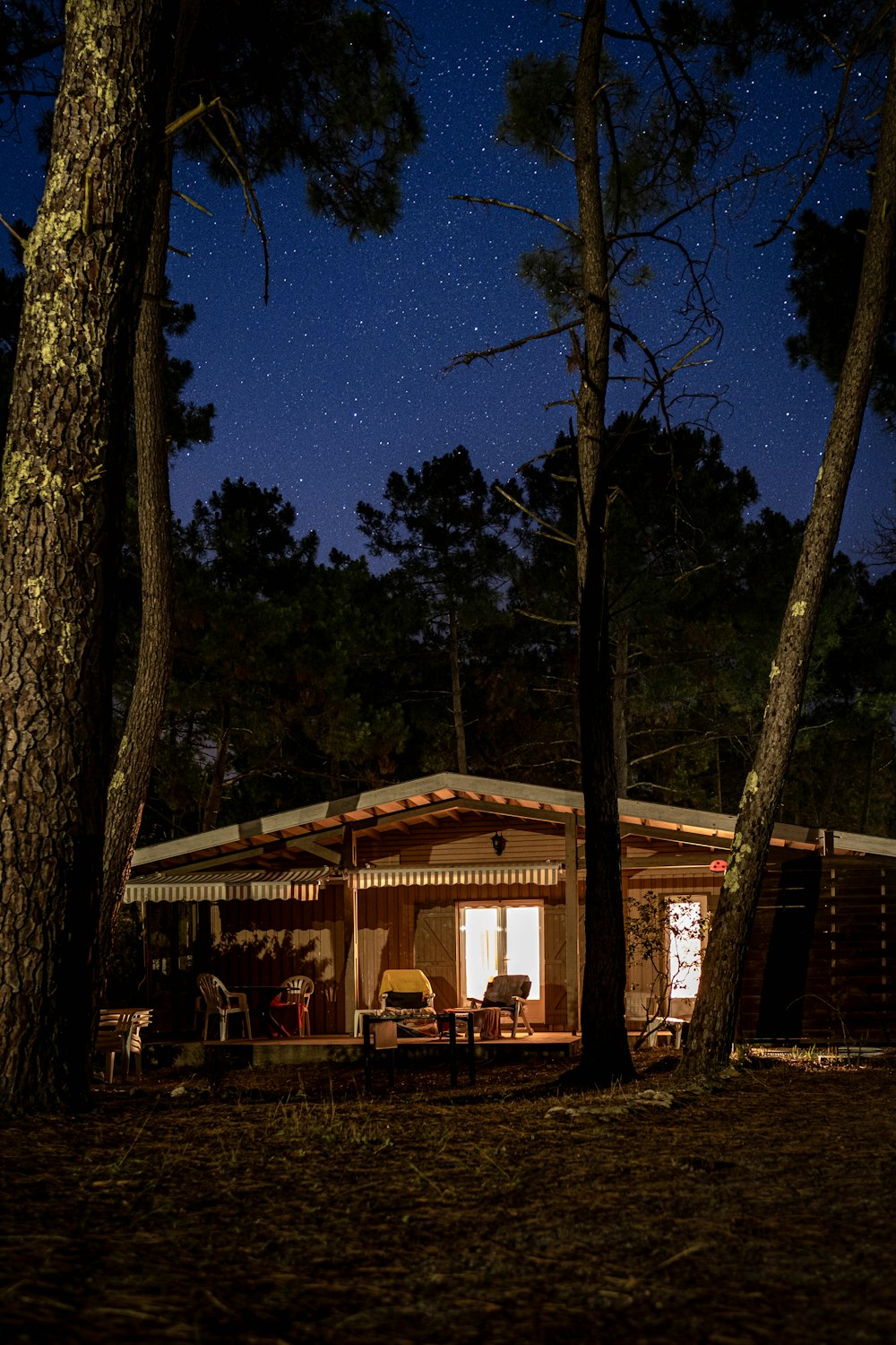 a house with trees around it