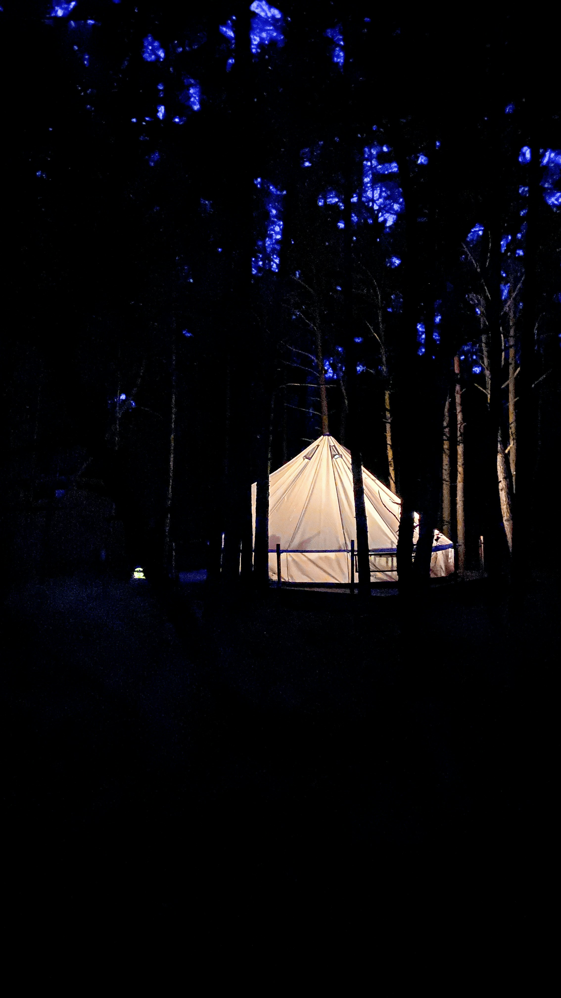 キャンプを始める前に知っておきたい！必要な道具とおすすめ商品