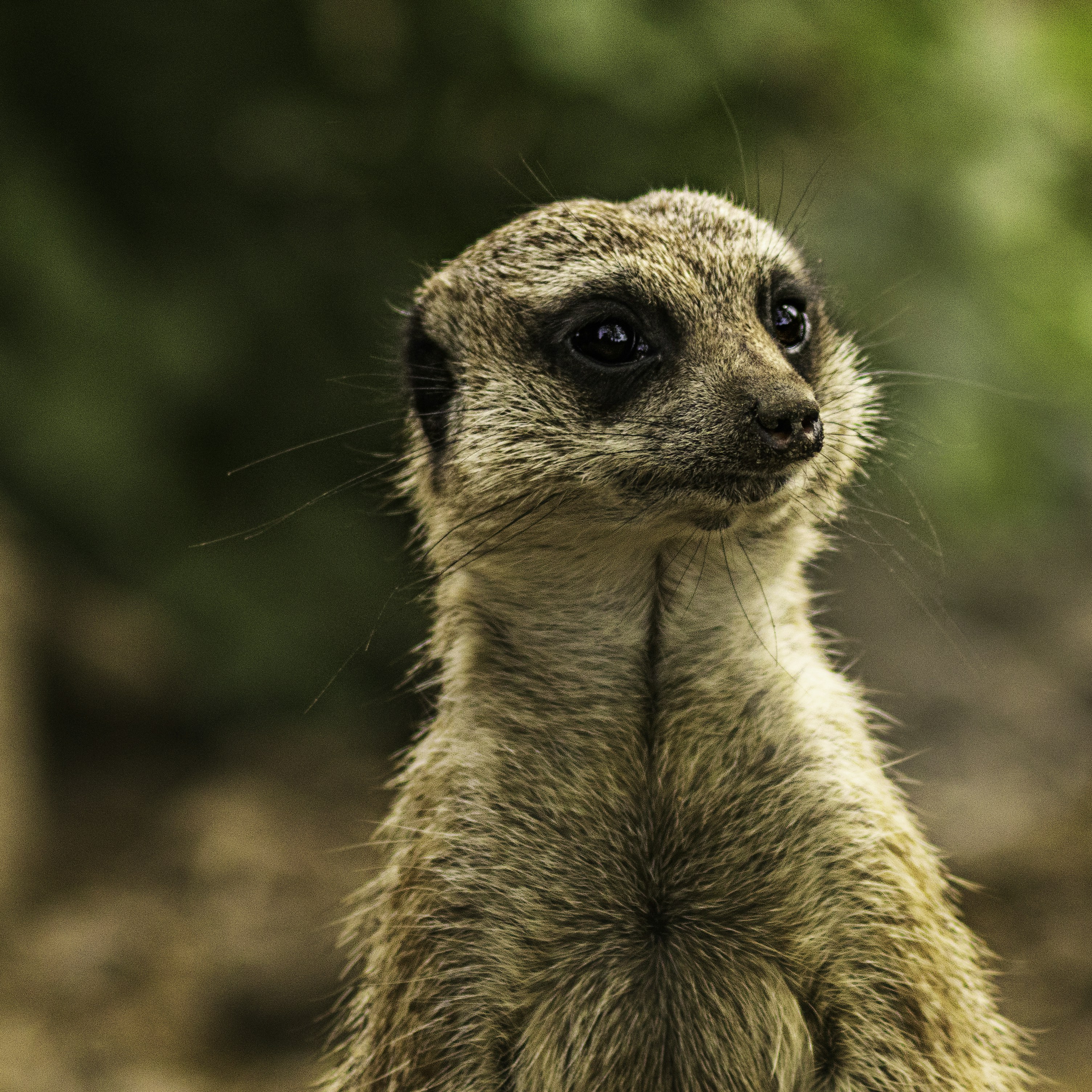 Photo by heino_120206