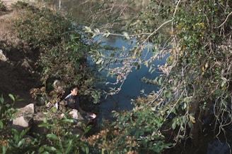 A person is sitting by a riverbank surrounded by dense green foliage and overhanging branches. The individual appears to be engaged in some outdoor activity, possibly washing clothes in a large red tub. The environment is natural and serene, with abundant greenery and a calm body of water.