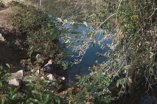 A person is sitting by a riverbank surrounded by dense green foliage and overhanging branches. The individual appears to be engaged in some outdoor activity, possibly washing clothes in a large red tub. The environment is natural and serene, with abundant greenery and a calm body of water.