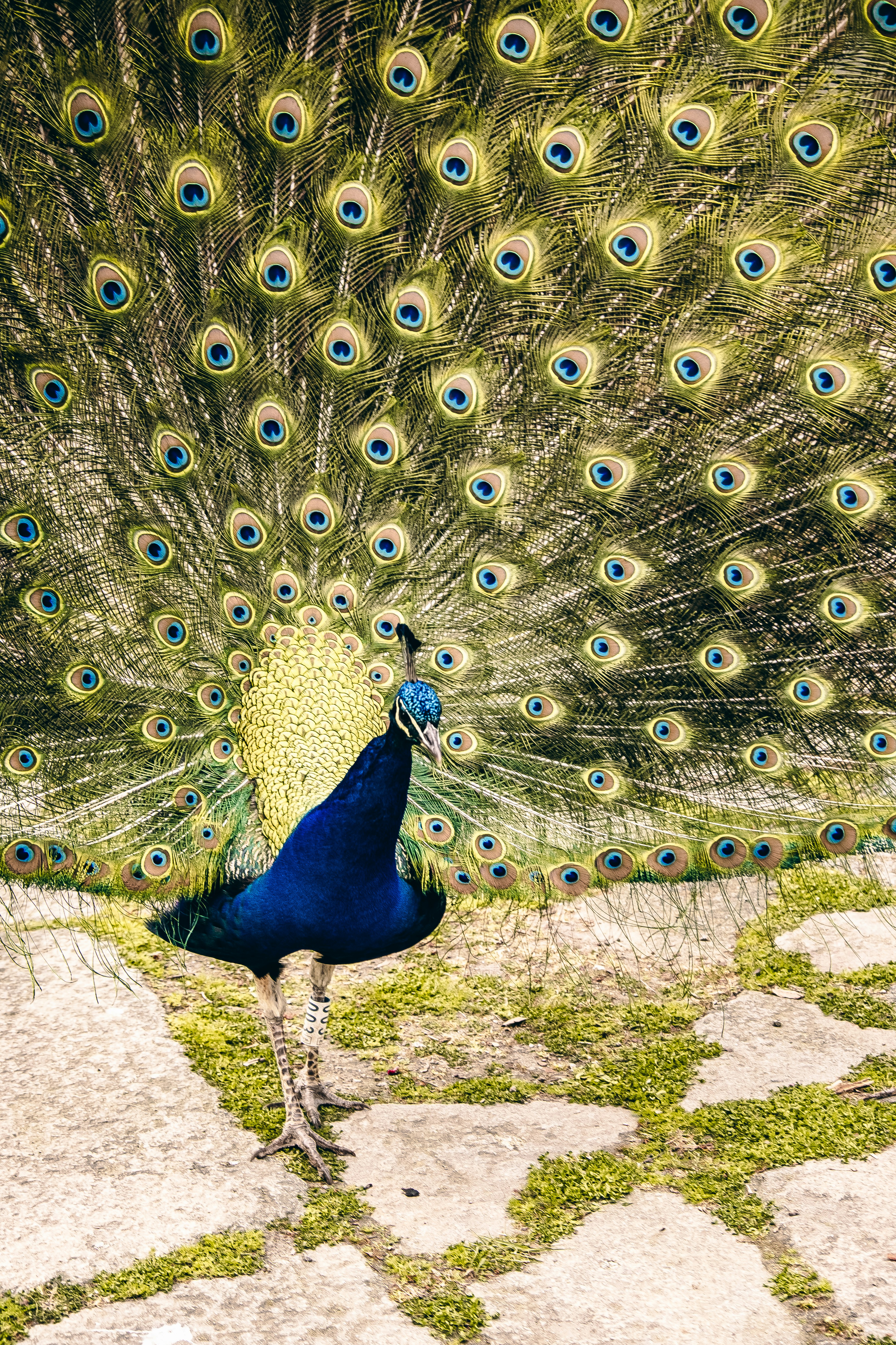 Photo by daniele_franchi