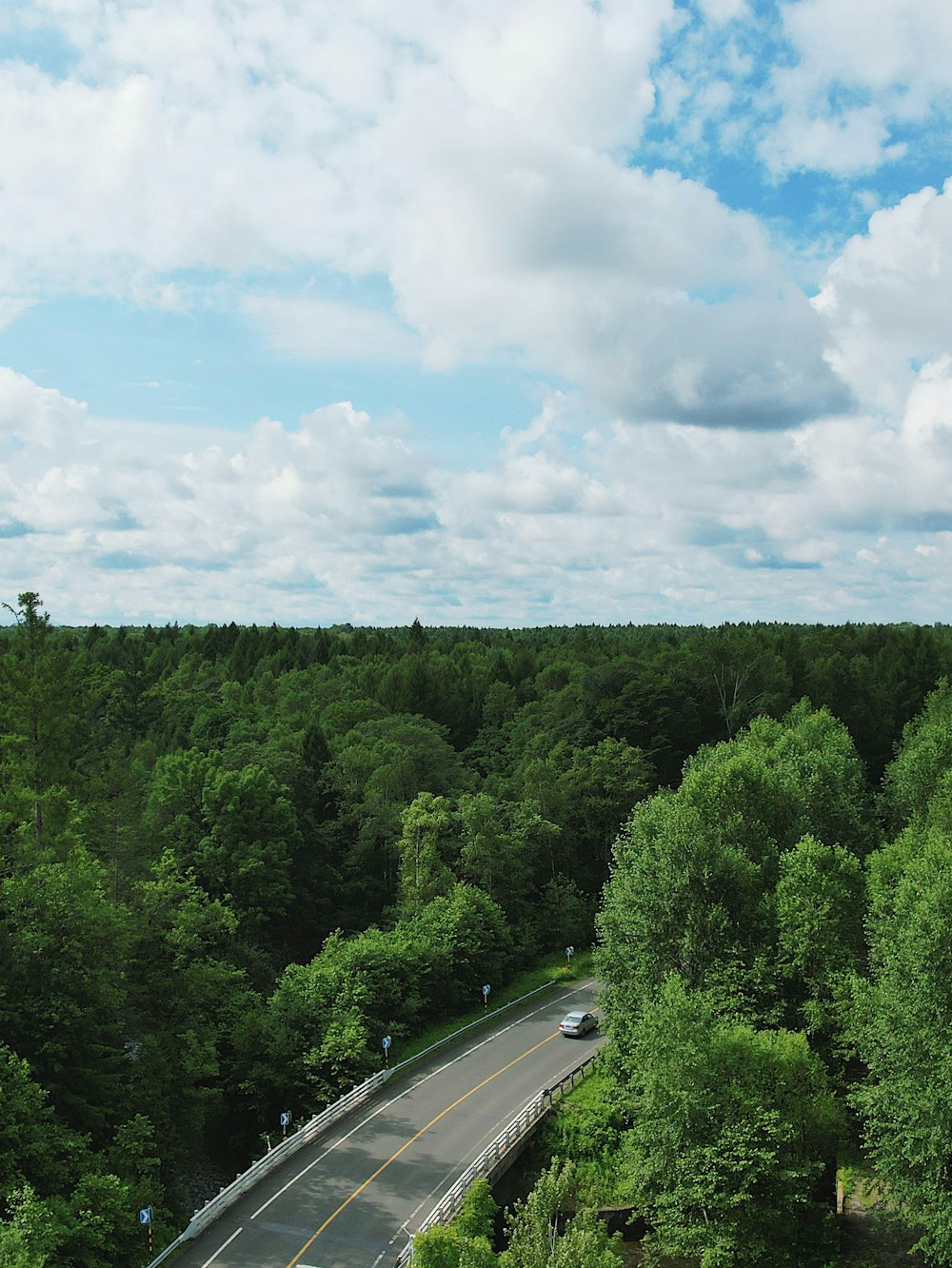 a road with trees on the side