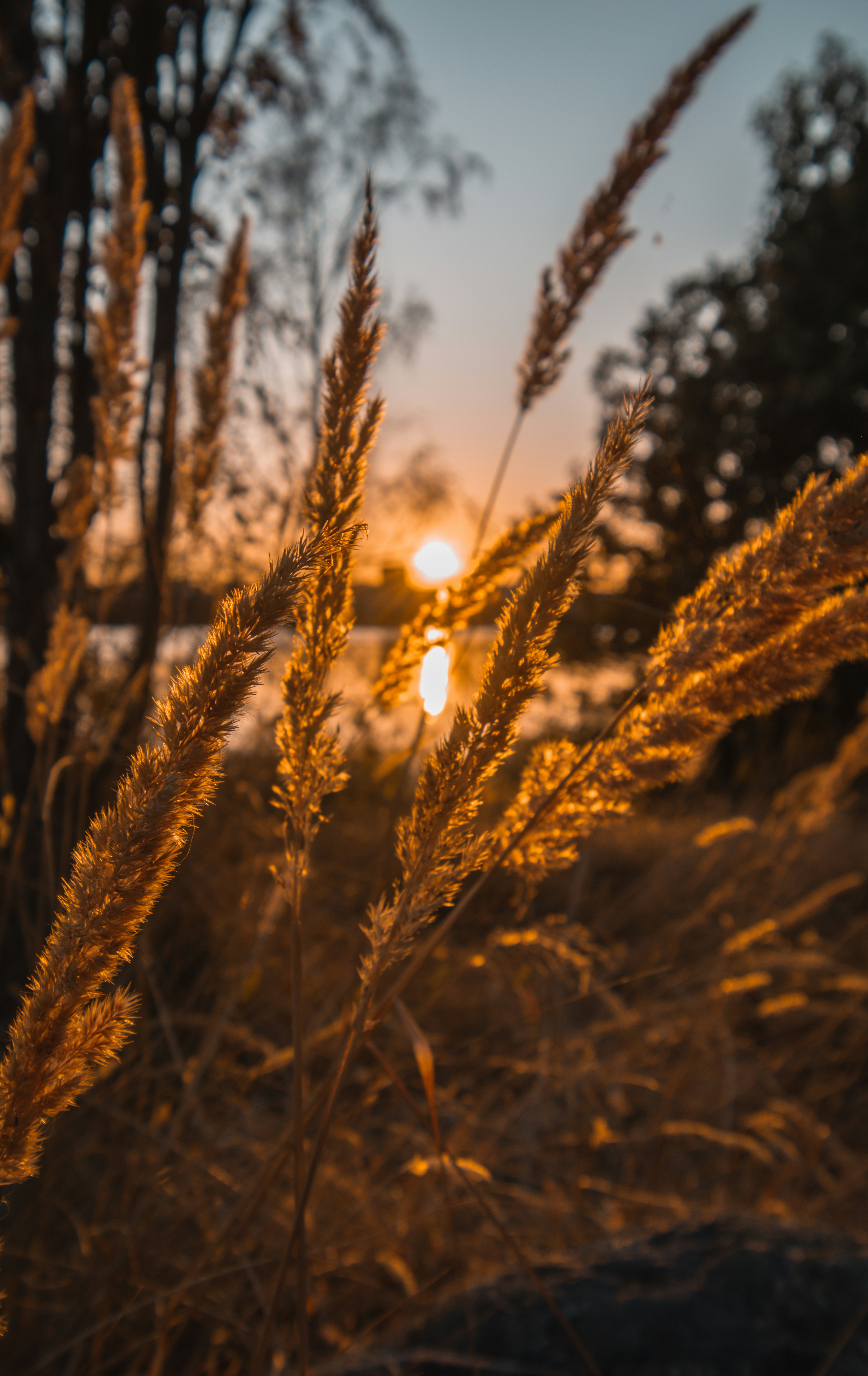 Photo by hannanhelmassa