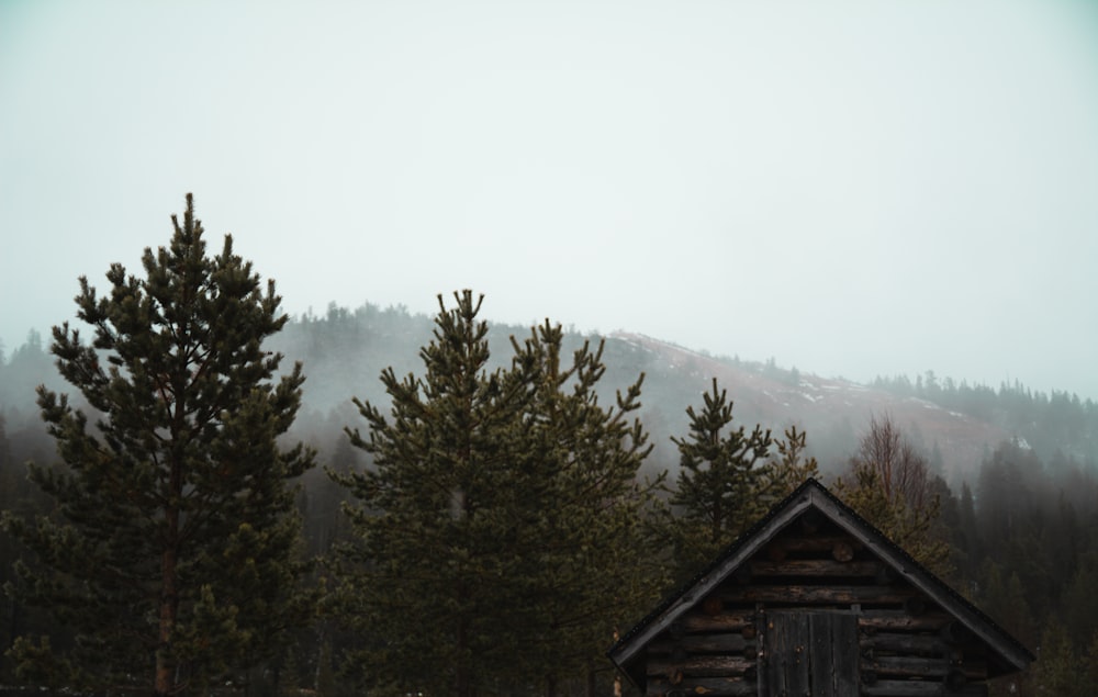 Eine Hütte im Wald