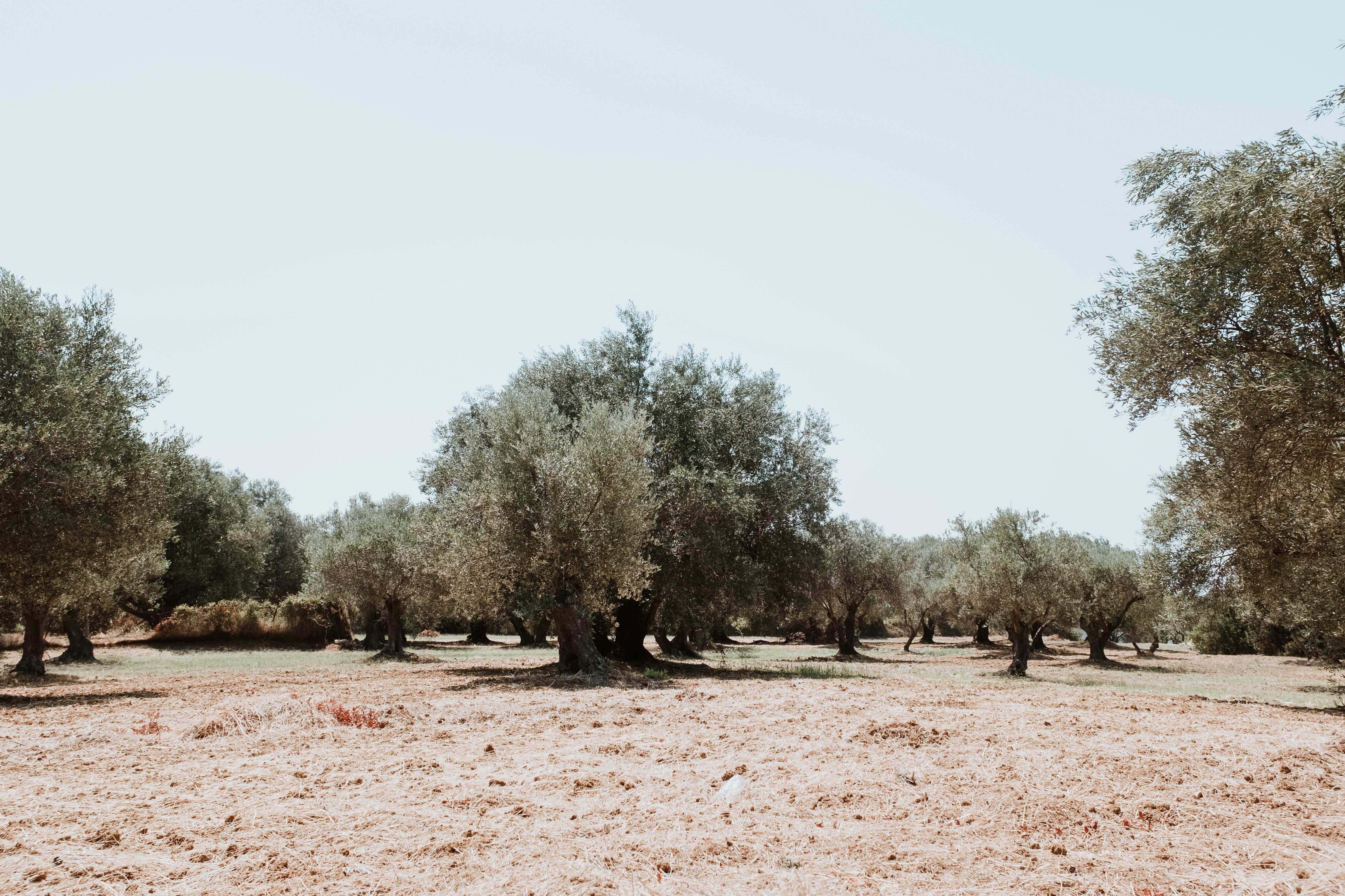 Photo by eleanorbrooke