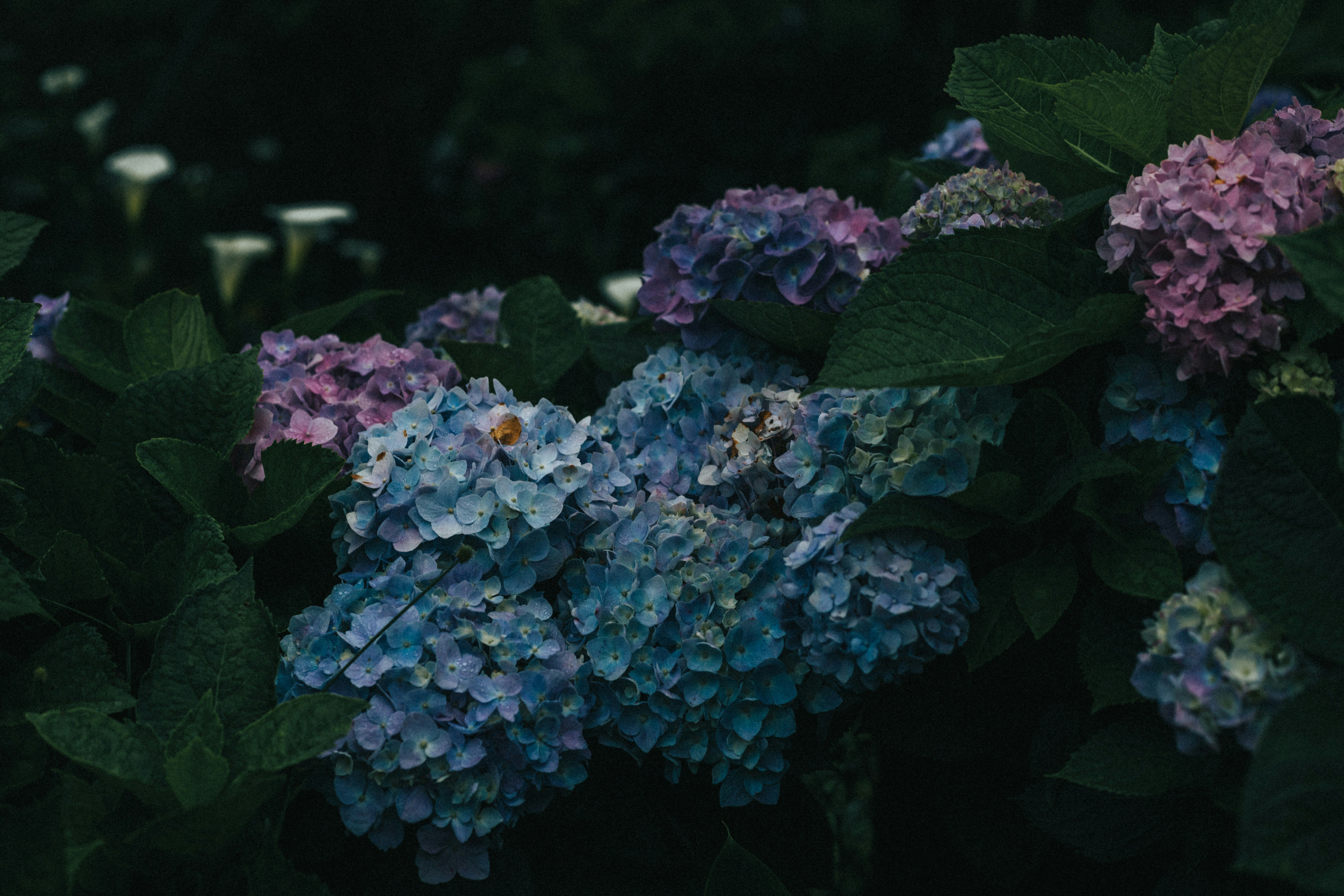 Photo by jeffreychai