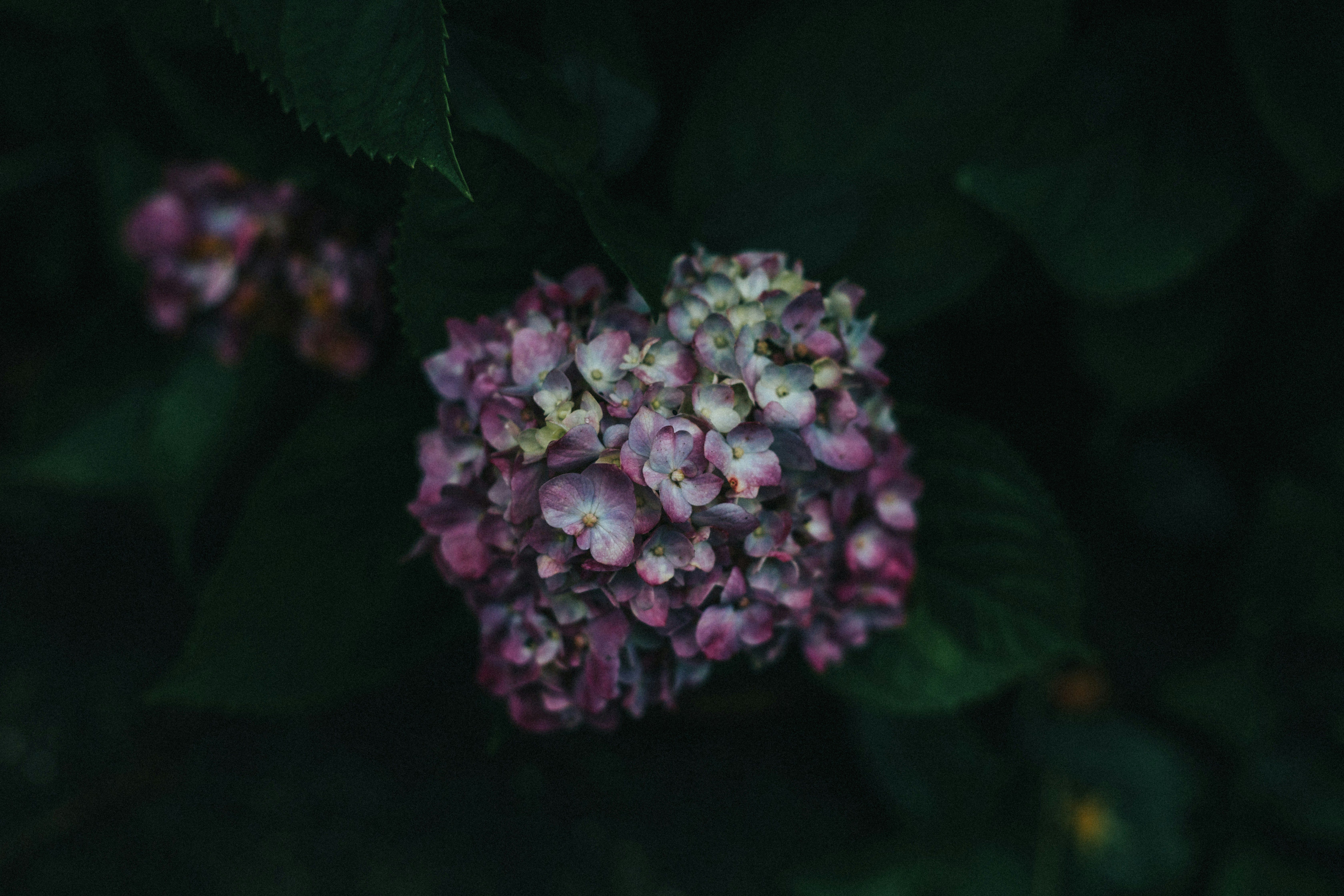 Photo by jeffreychai