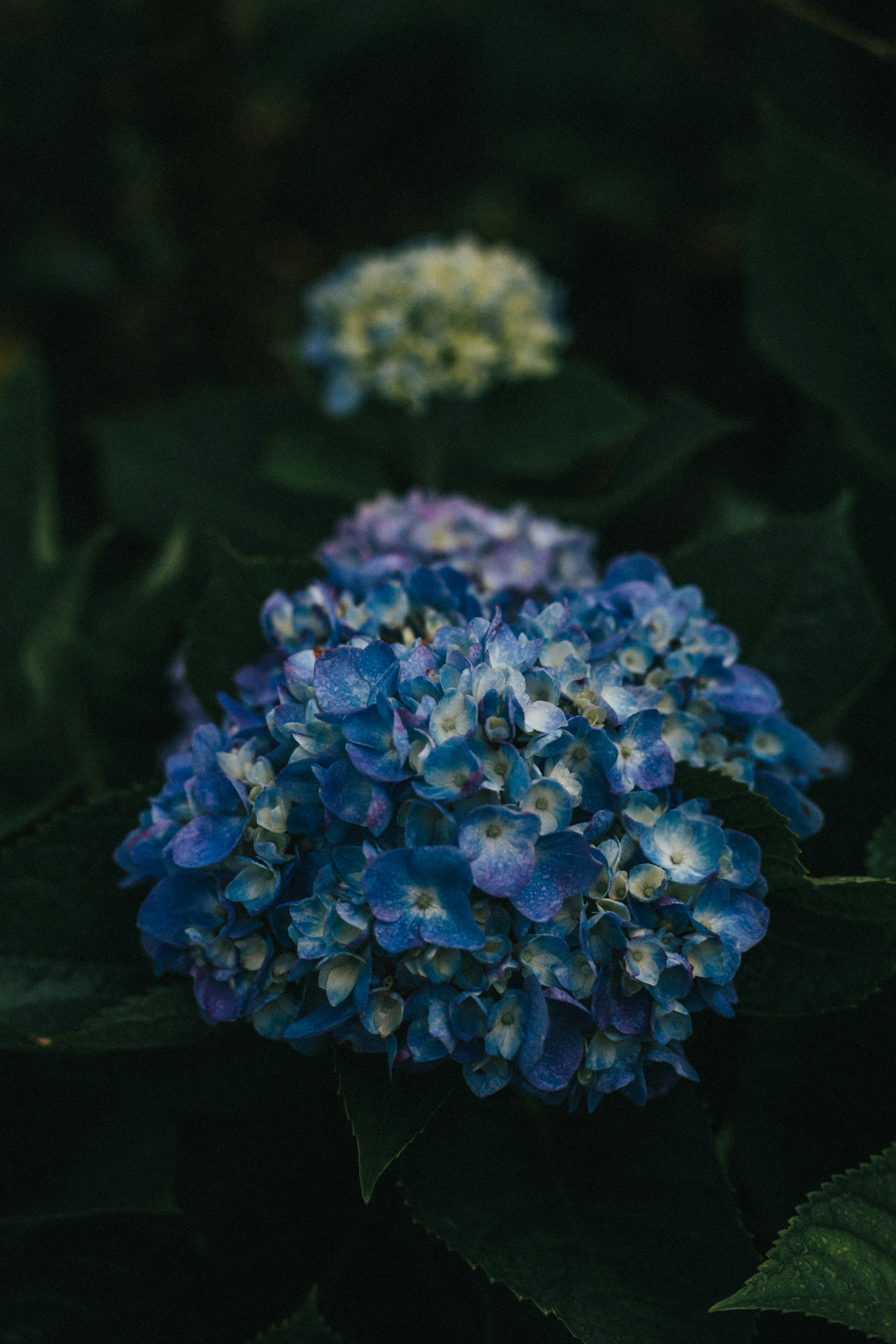 Photo by jeffreychai