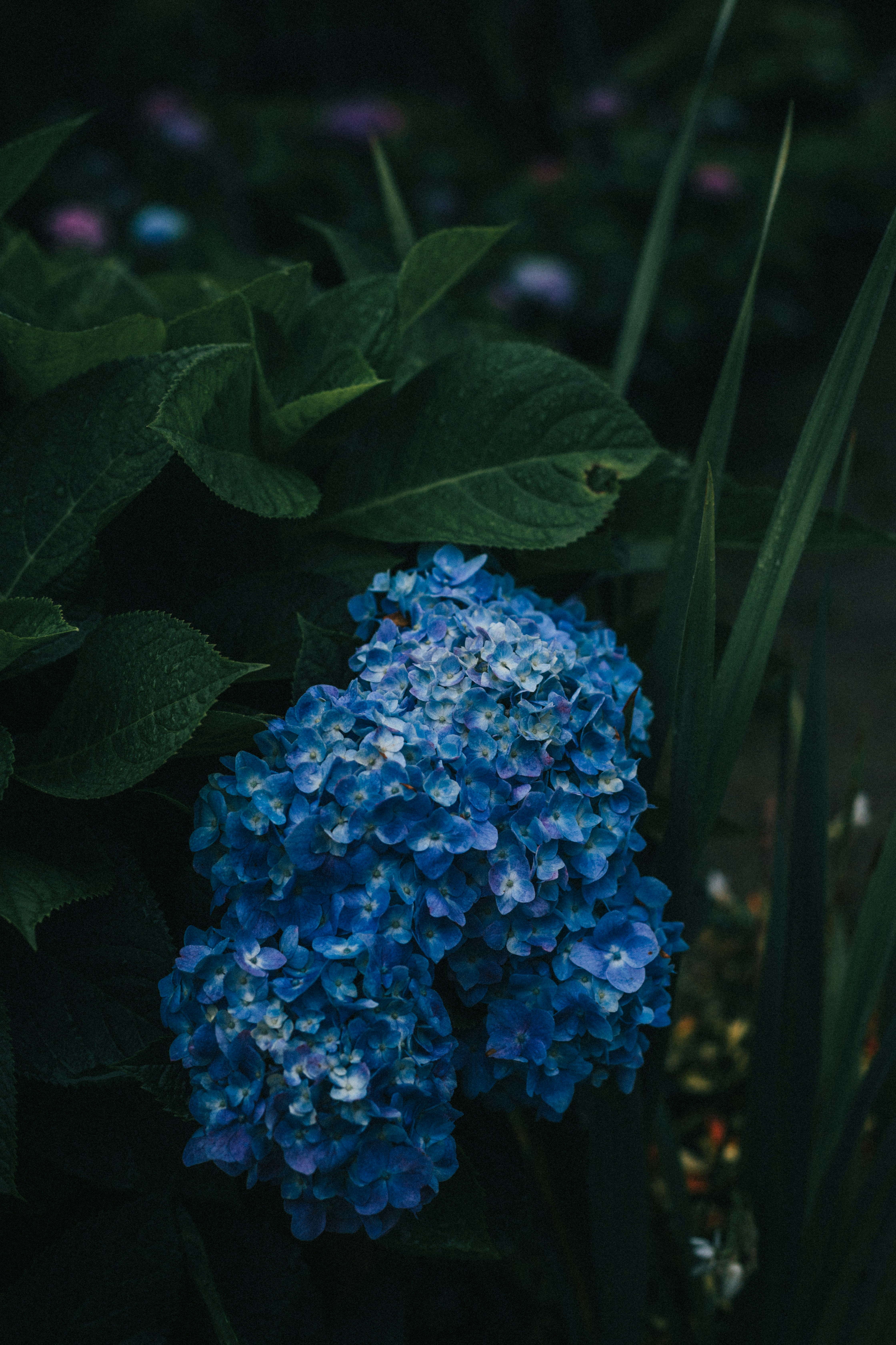 Photo by jeffreychai