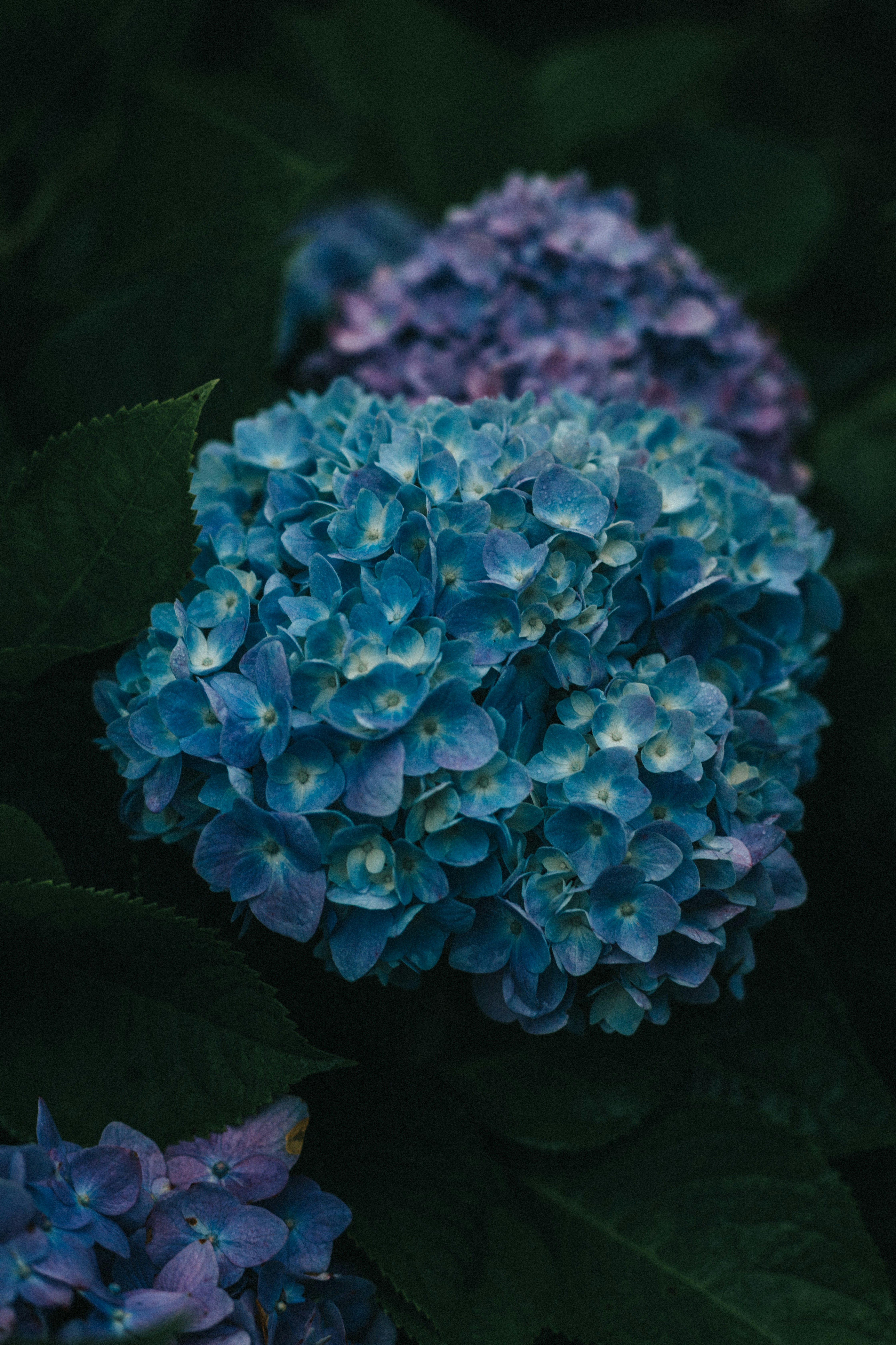 Photo by jeffreychai