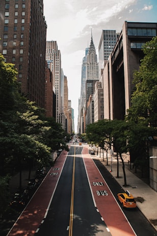 A bustling city street flanked by tall skyscrapers, with a prominent art deco building in the center background. The street is lined with lush green trees providing some natural contrast to the urban setting. Vehicles, including a yellow taxi, are visible on the road, which has lanes marked for buses only.