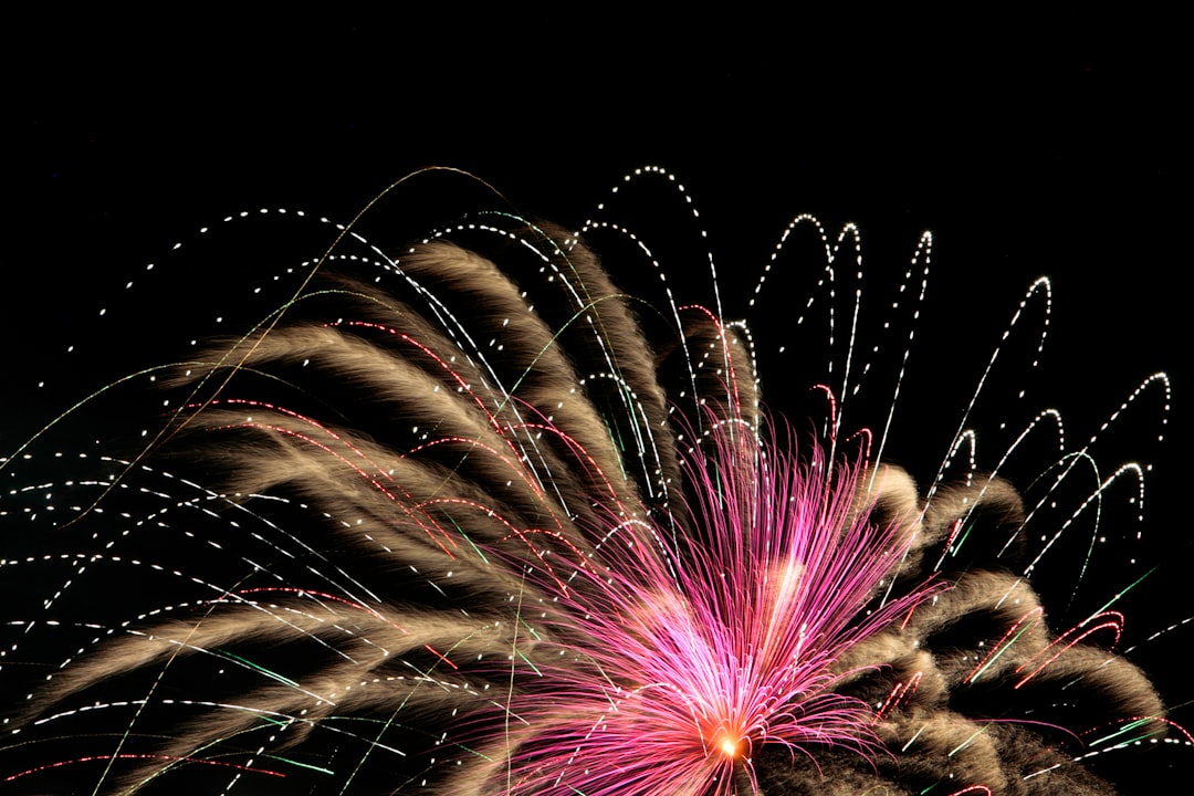 fireworks in the night sky,