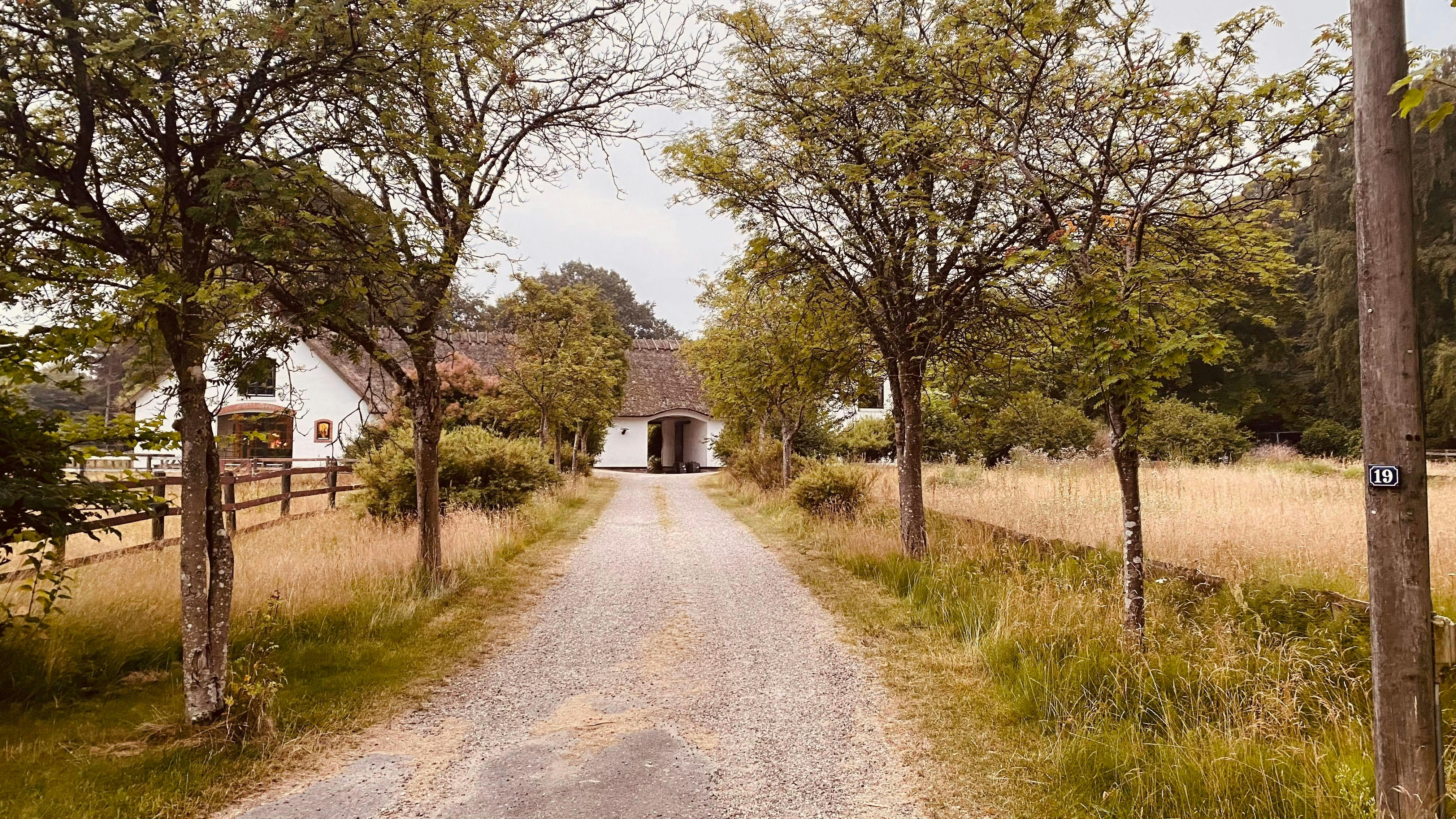 Photo by madsfonseca