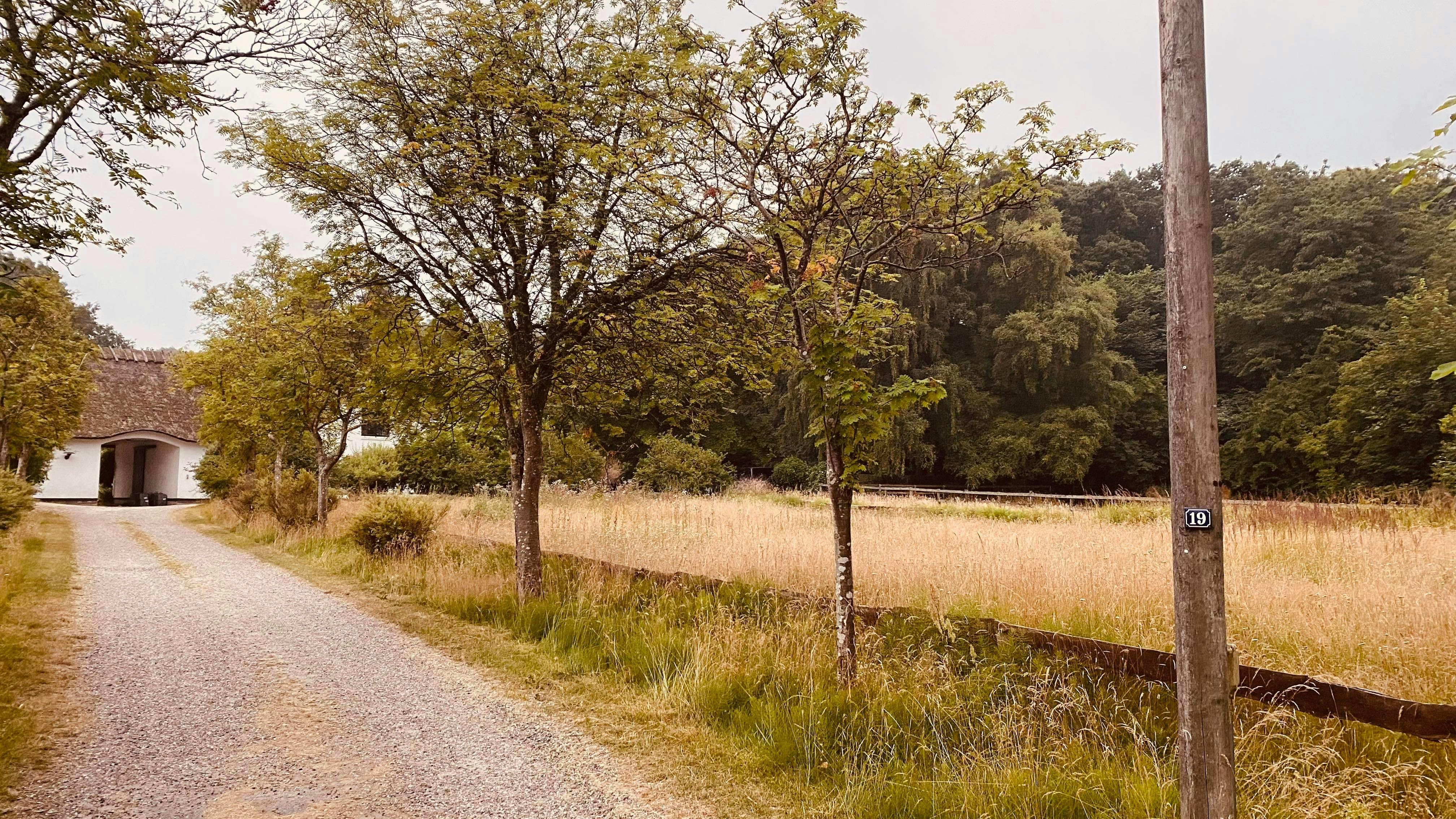 Photo by madsfonseca