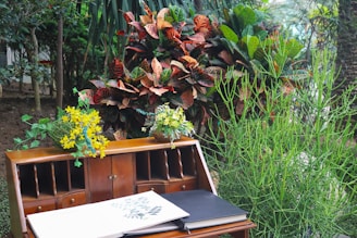 a laptop on a bench