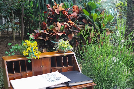 a laptop on a bench