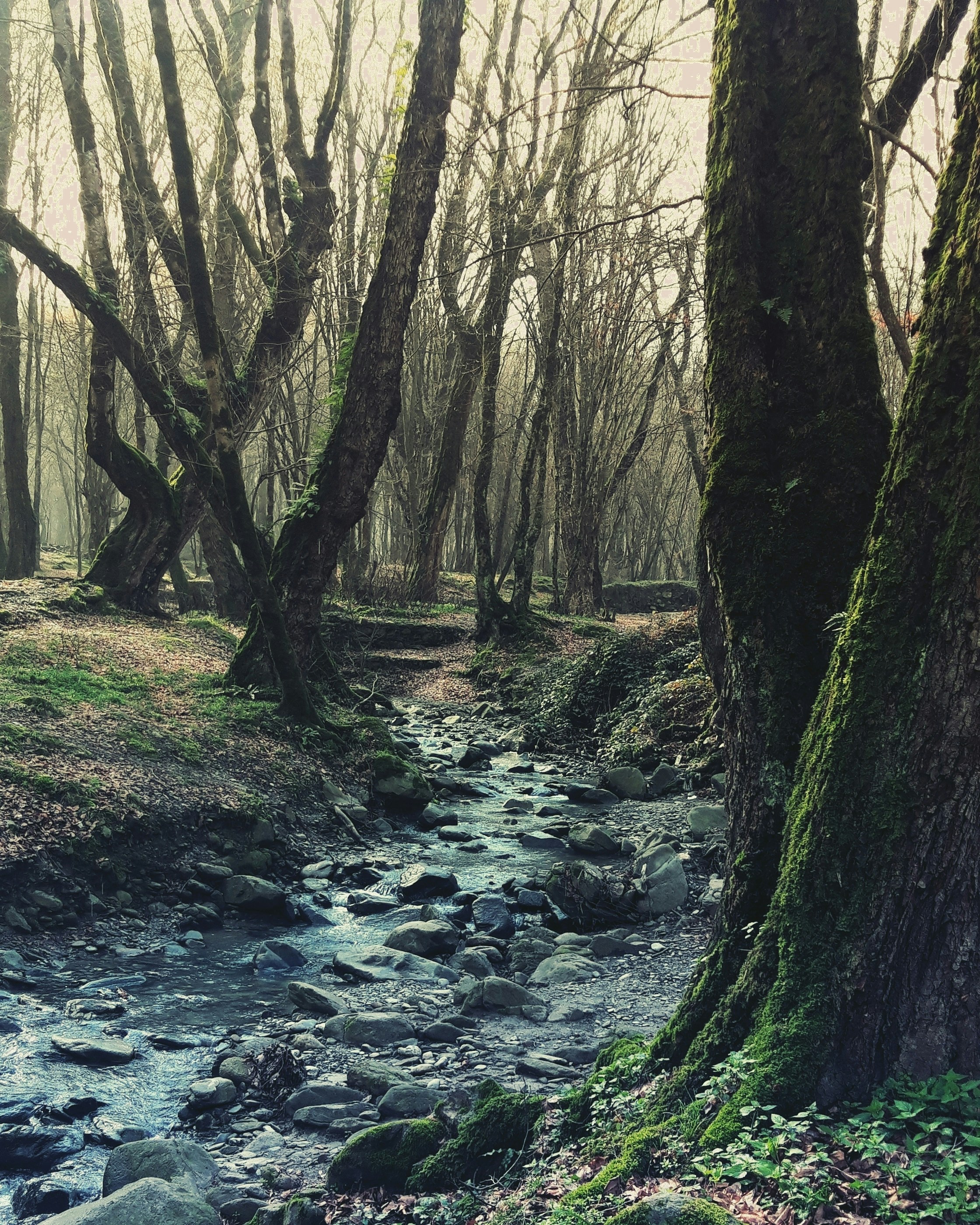 Photo by arman96