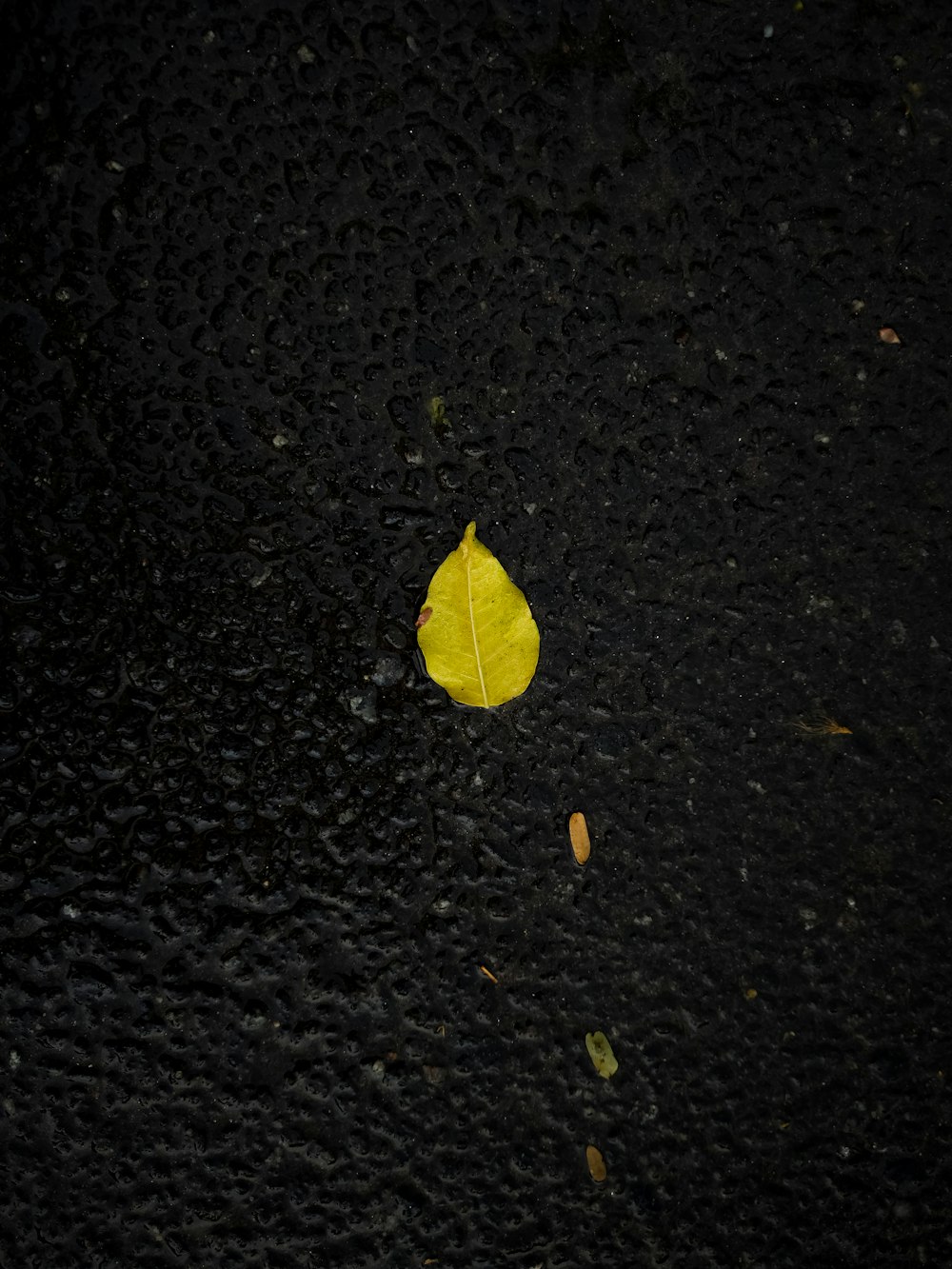 una foglia gialla su una superficie nera