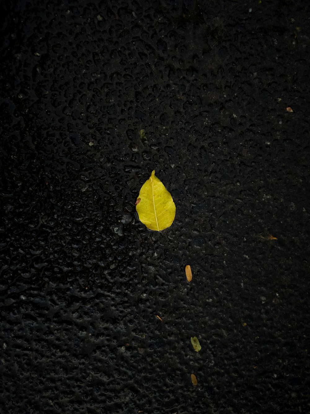 a yellow leaf on a black surface