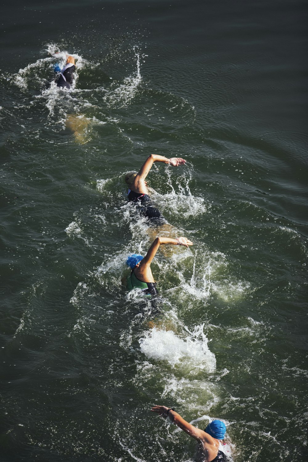 a group of people swimming in the water