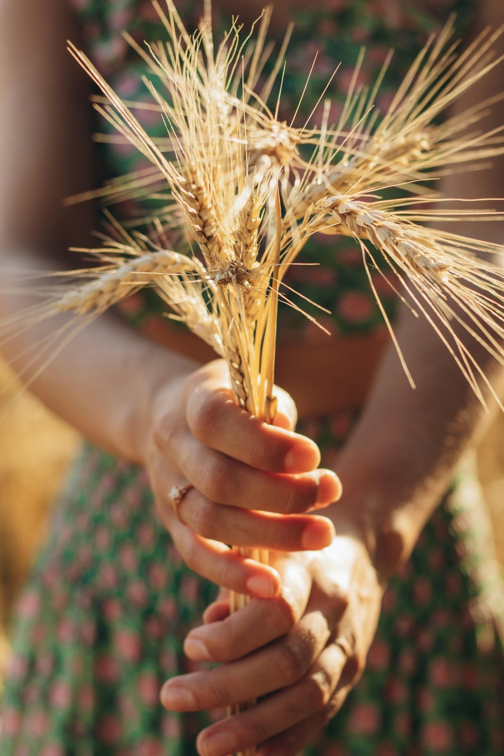 a person holding a plant