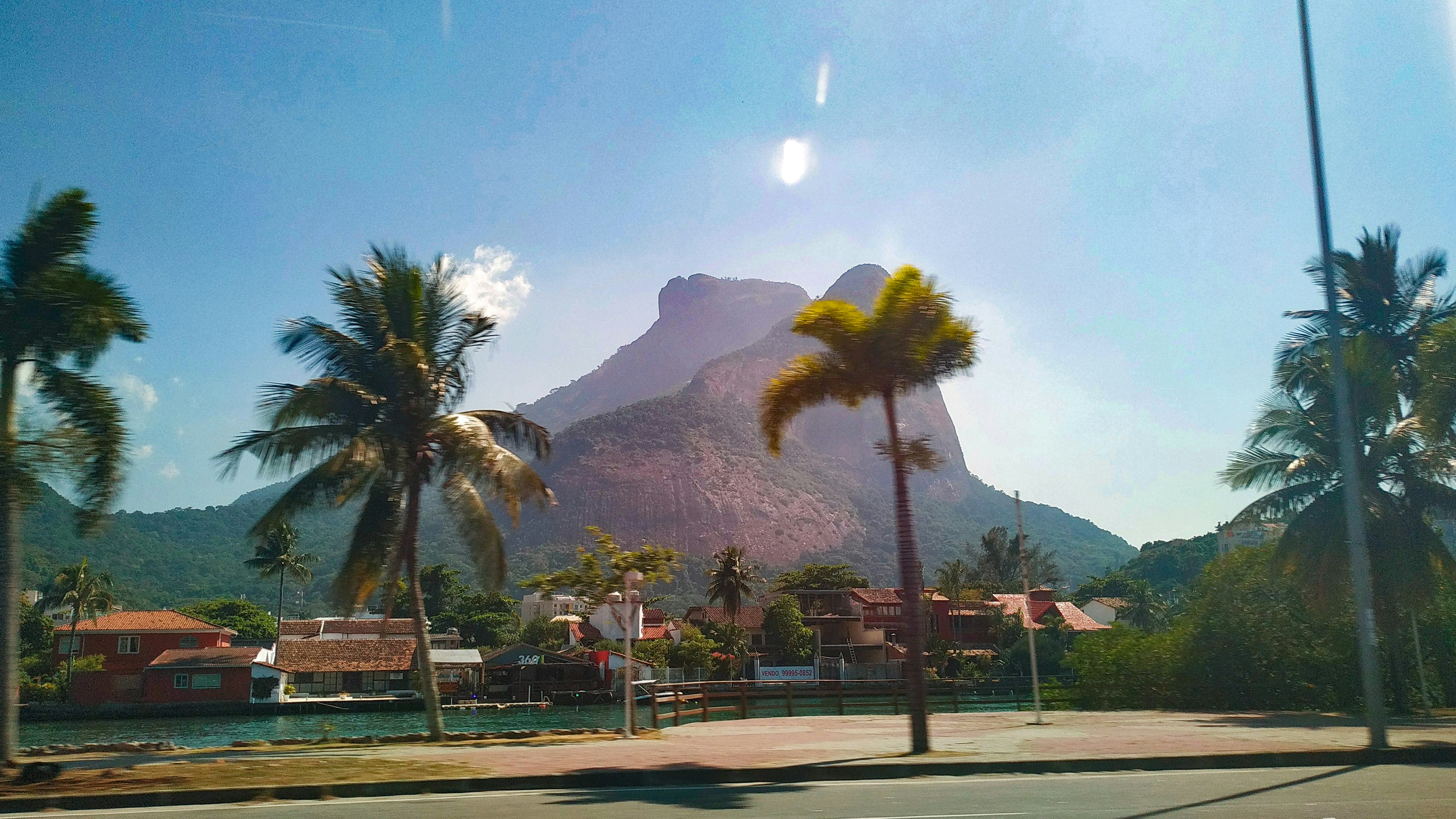 a group of palm trees and Luxor Las Vegas in the background