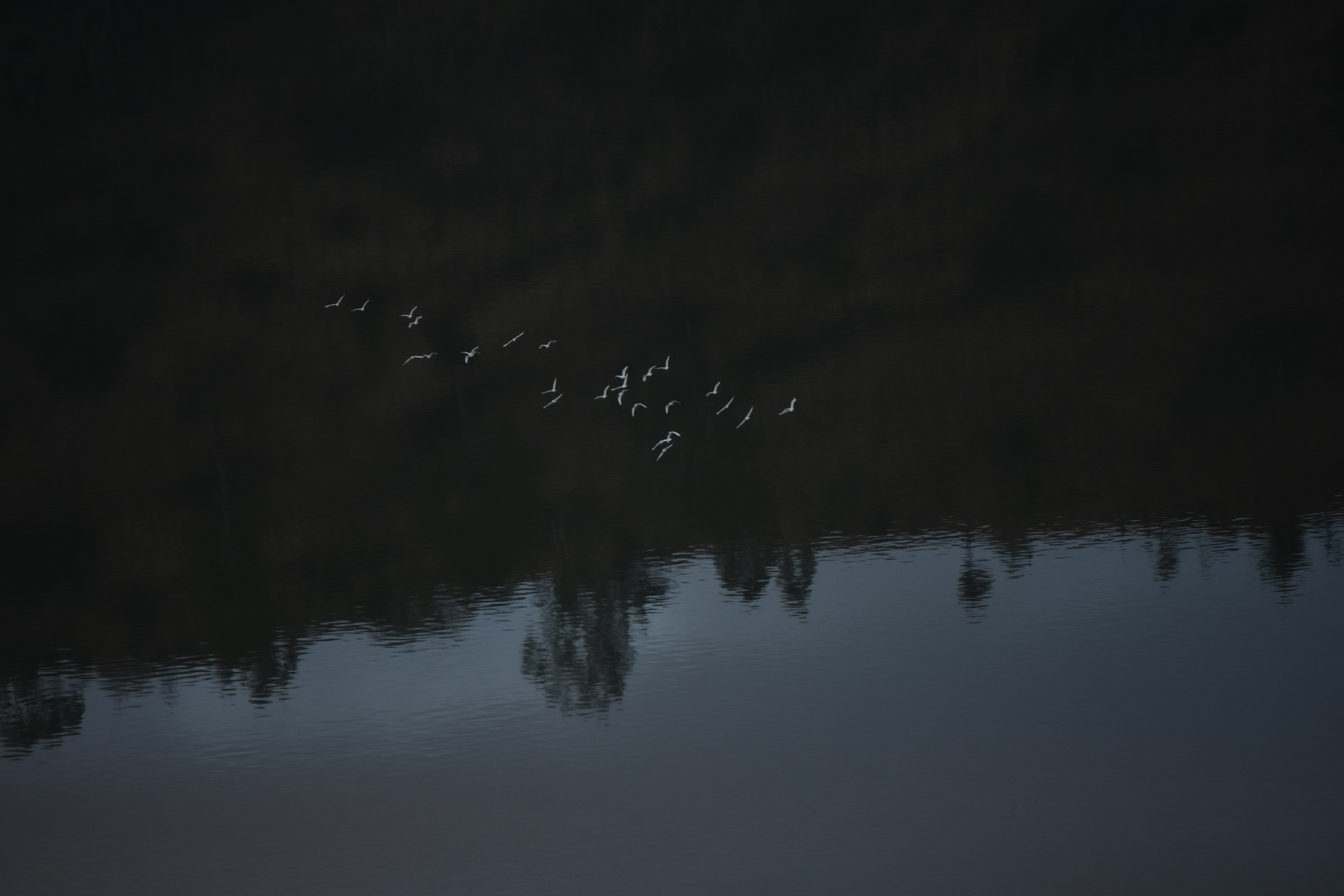 Bishoftu, Ethiopia - None