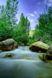 A gentle stream flowing over smooth stones, framed by lush green foliage and a clear blue sky above.