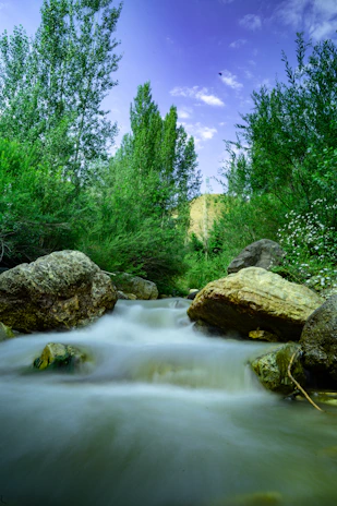 A gentle stream flowing over smooth stones, framed by lush green foliage and a clear blue sky above.