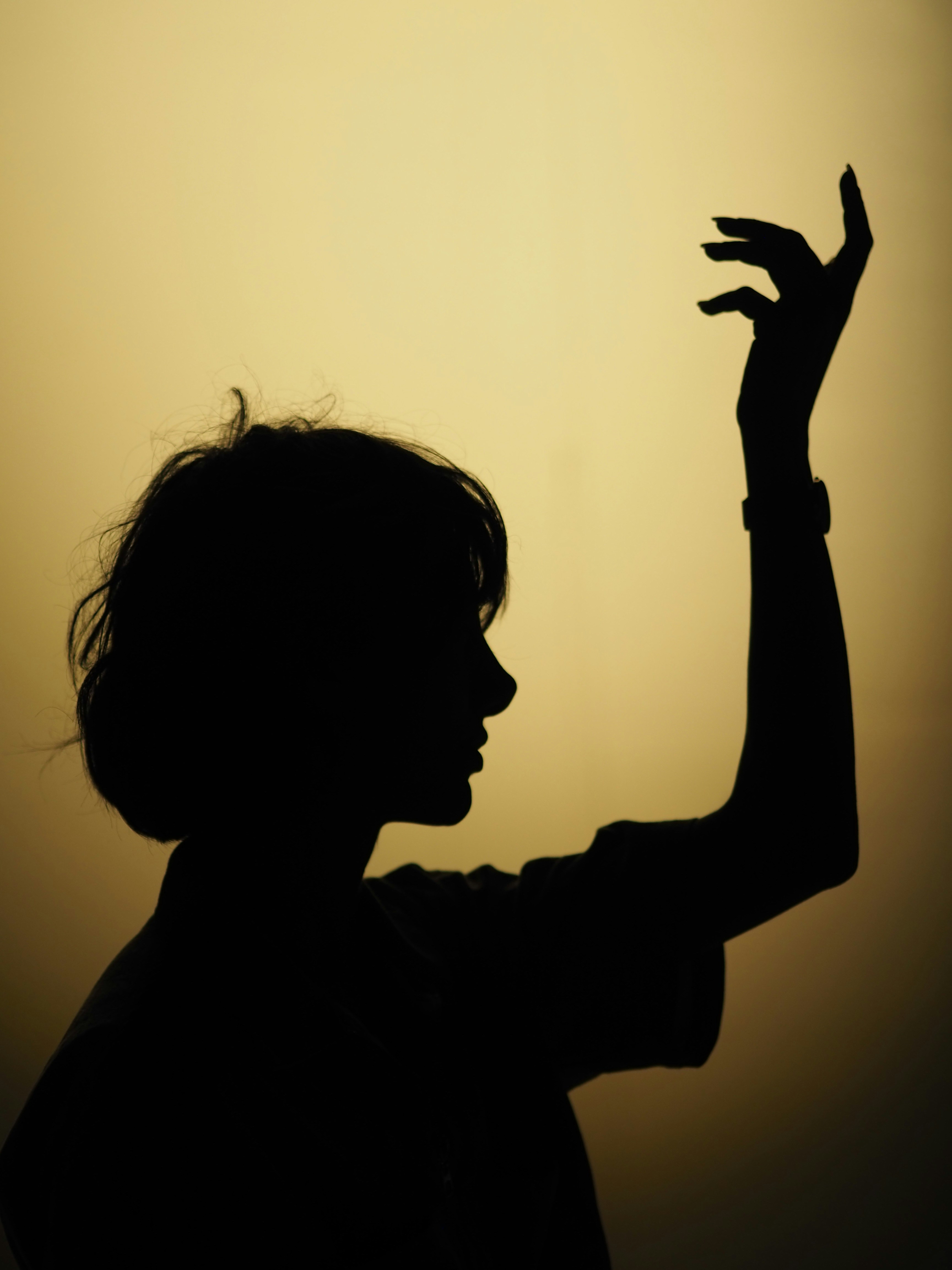 a silhouette of a person with the hands up