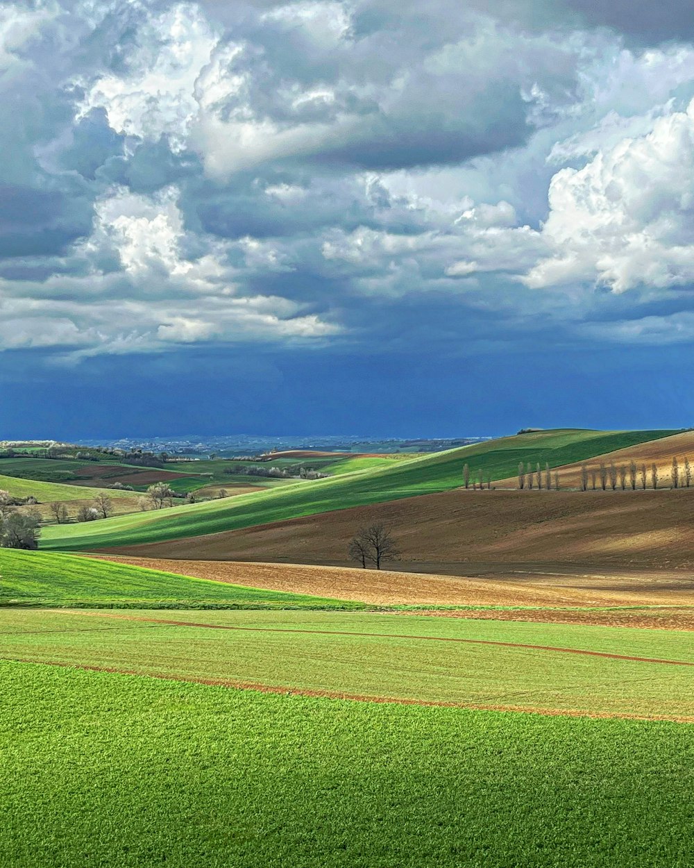 a large green field