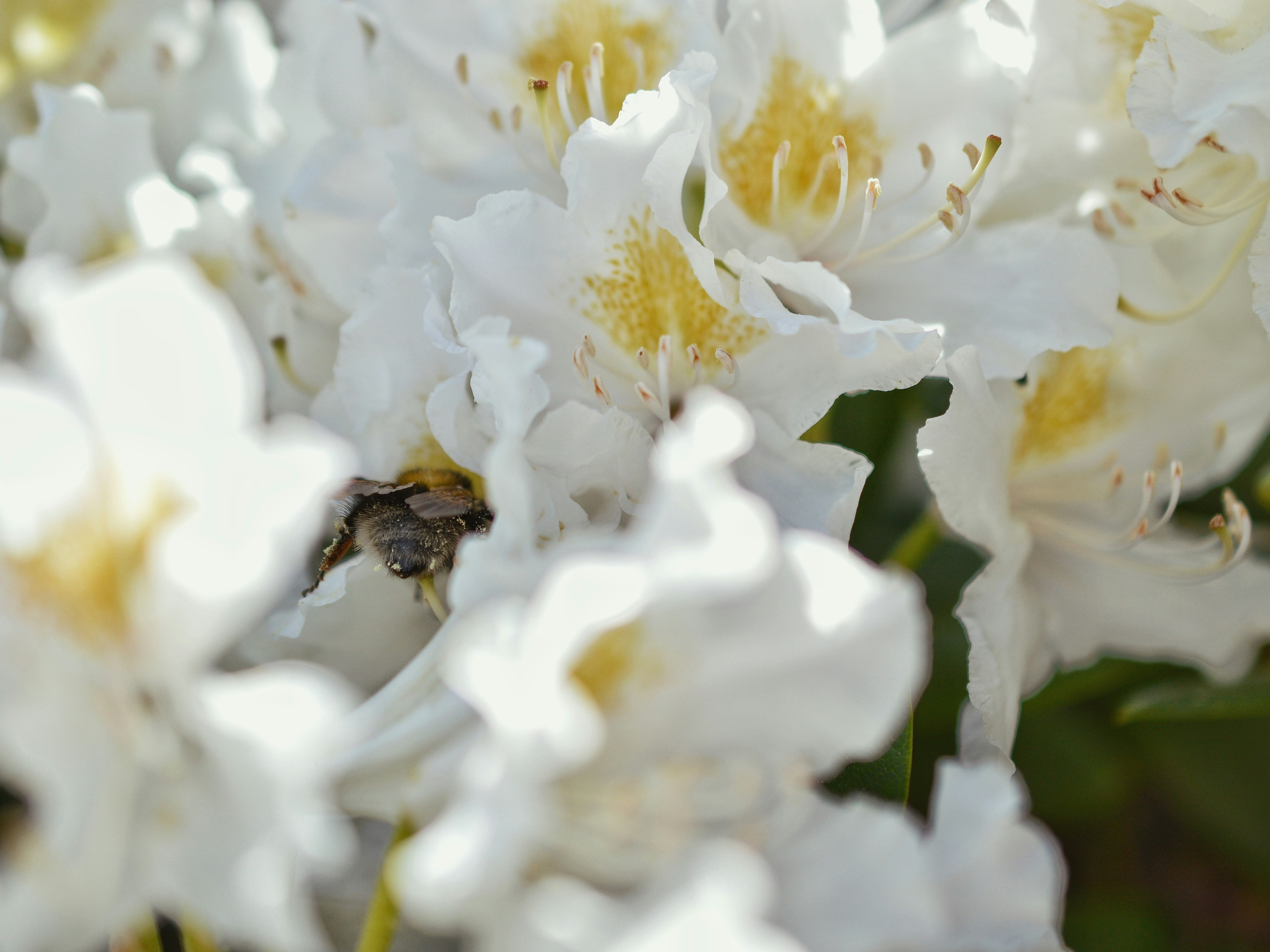 Photo by katie_veronique