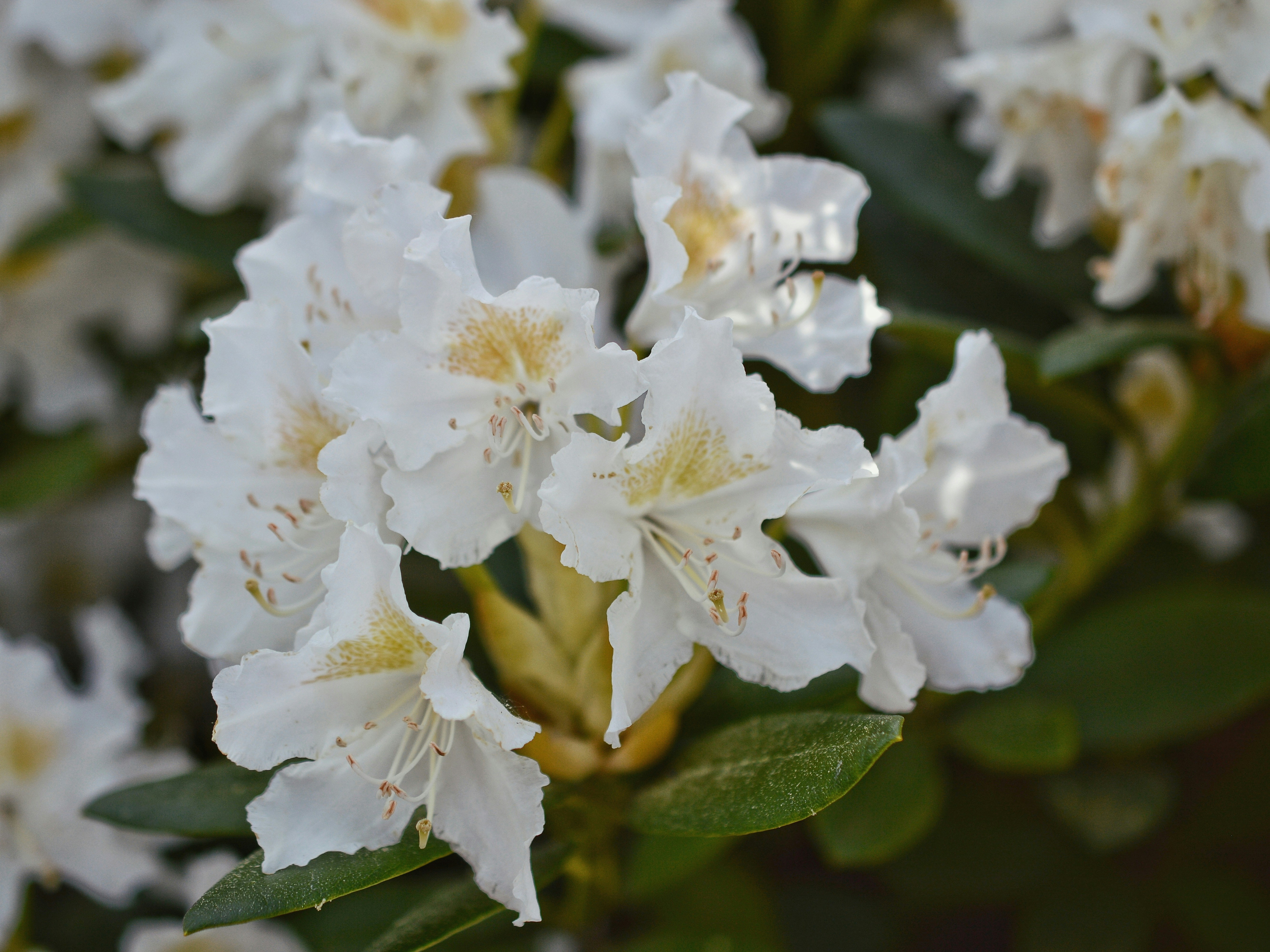 Photo by katie_veronique